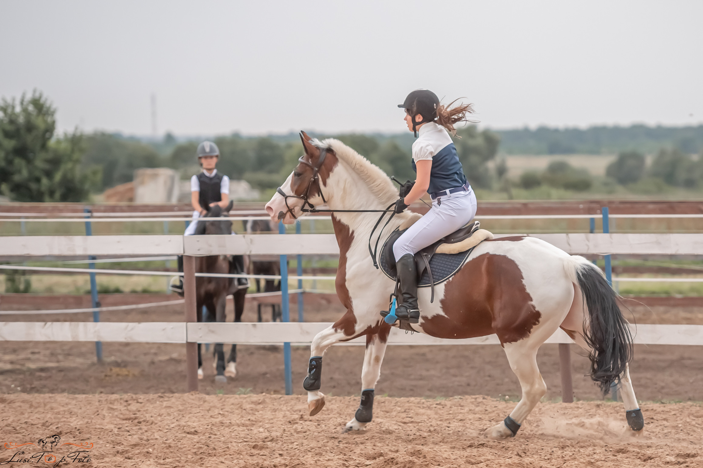 Открытая тренировка по выездке и конкуру в КК Резвая. Конный и фотограф с животными в Твери Топталова Люся