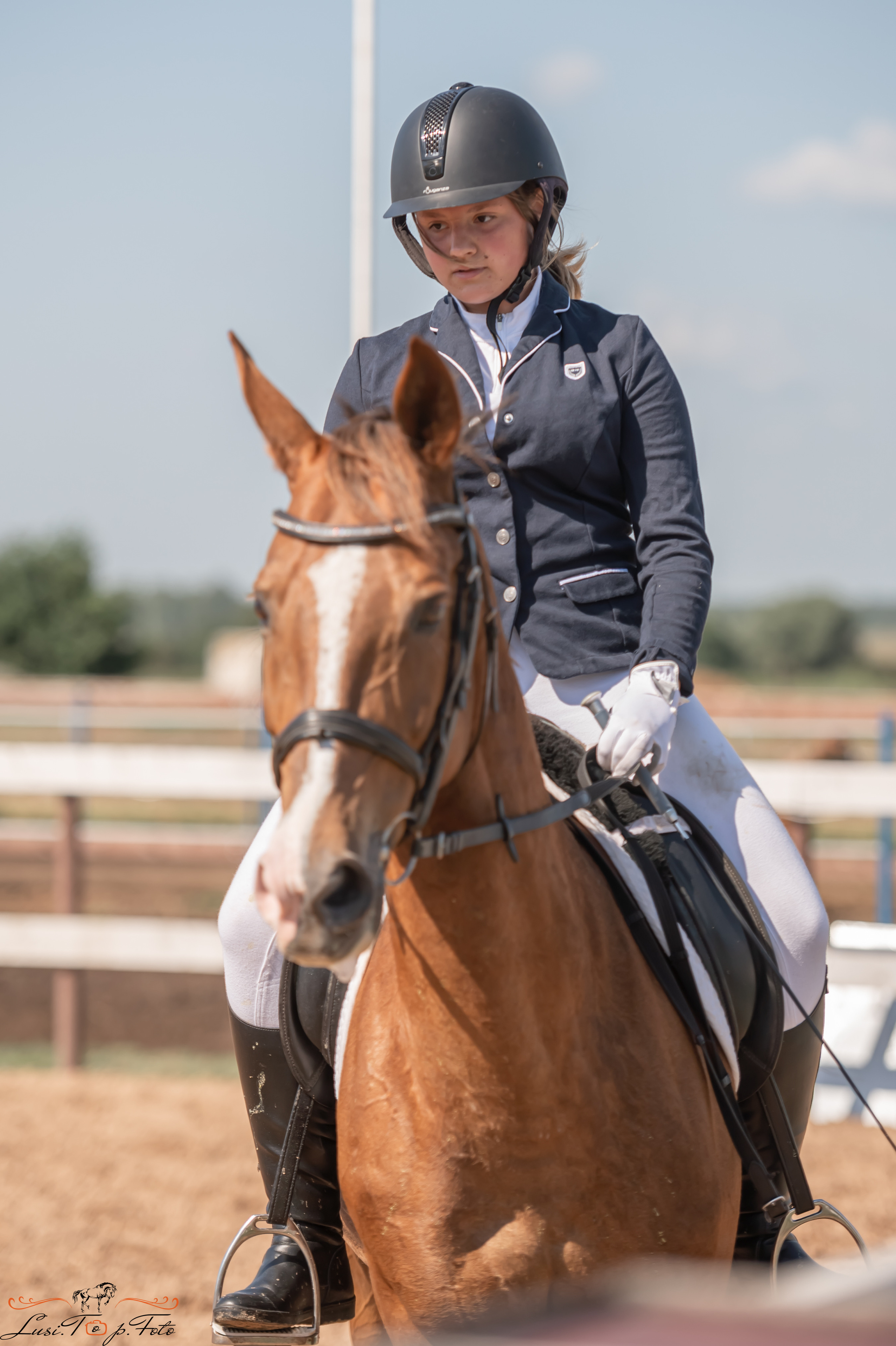 Открытая тренировка по выездке и конкуру в КК Резвая. Конный и фотограф с животными в Твери Топталова Люся