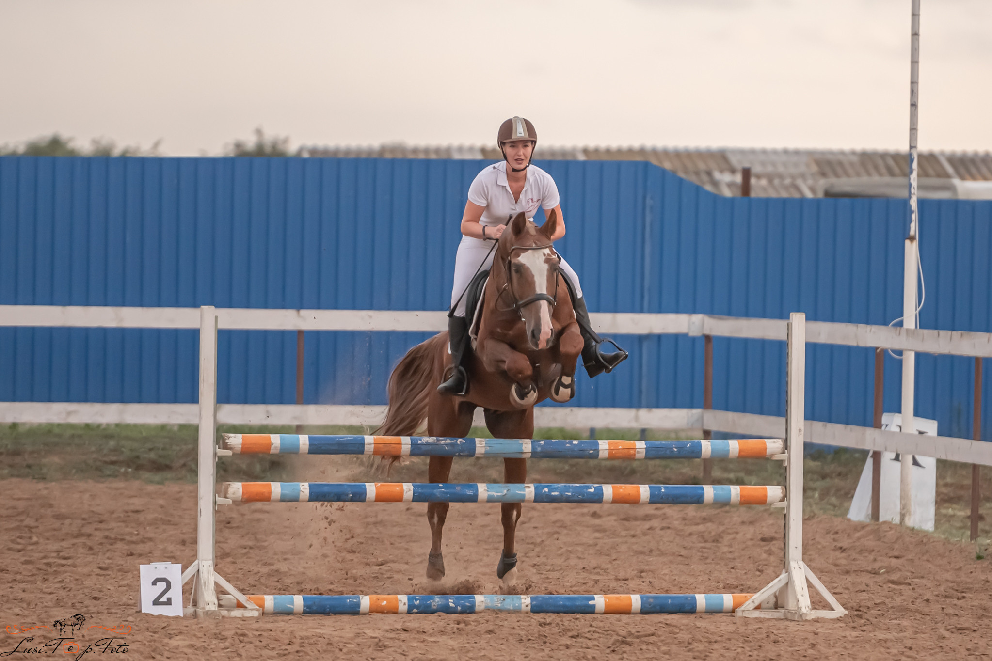 Открытая тренировка по выездке и конкуру в КК Резвая. Конный и фотограф с животными в Твери Топталова Люся