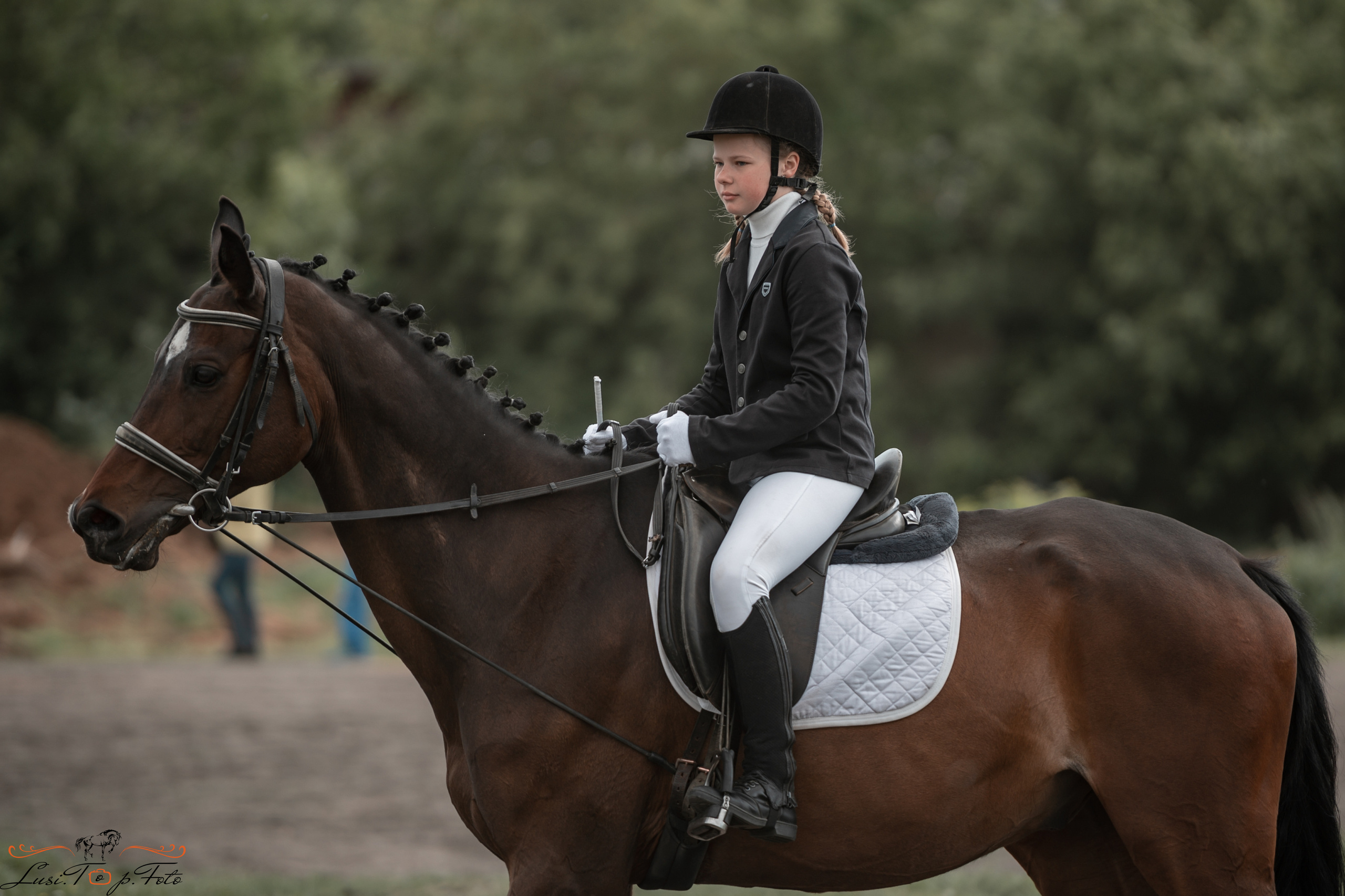 Чемпионат и первенство Тверской области по выездке. Конный и фотограф с животными в Твери Топталова Люся