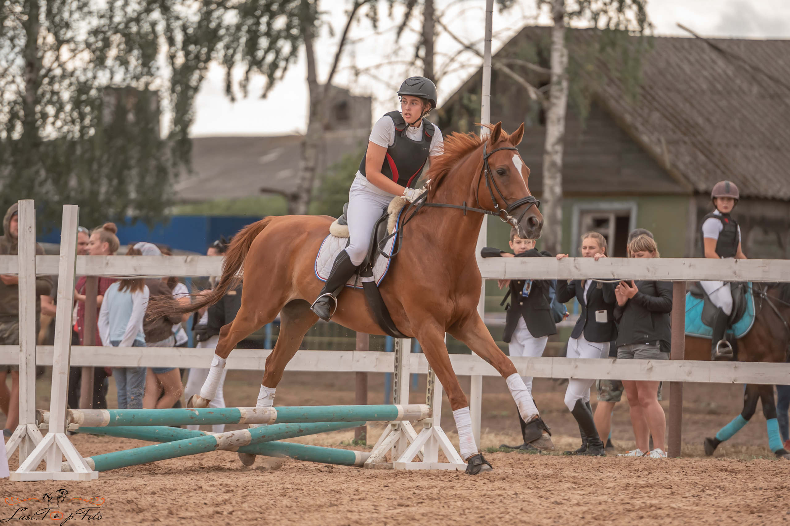Открытая тренировка по выездке и конкуру в КК Резвая. Конный и фотограф с животными в Твери Топталова Люся