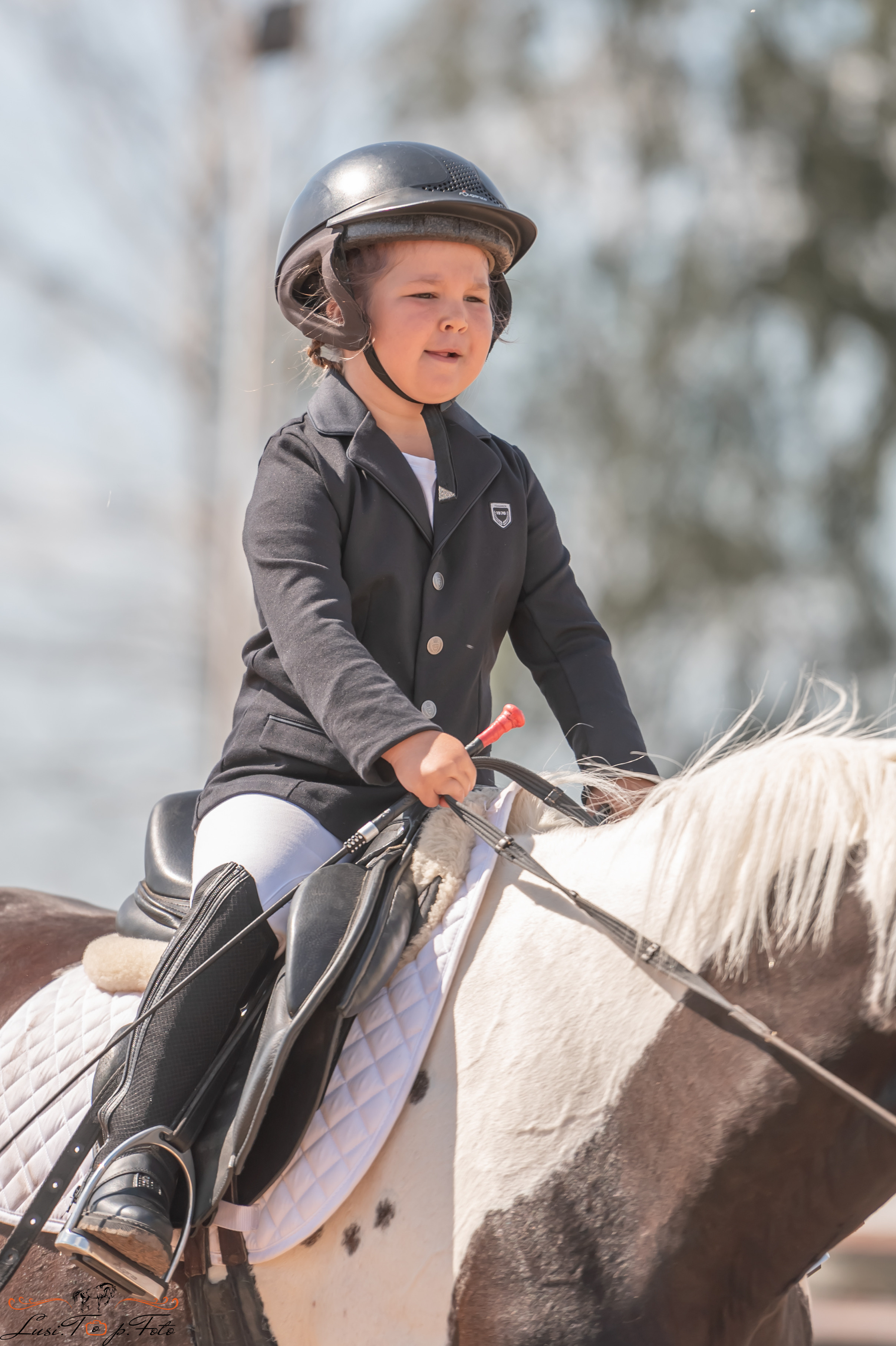 Открытая тренировка по выездке и конкуру в КК Резвая. Конный и фотограф с животными в Твери Топталова Люся