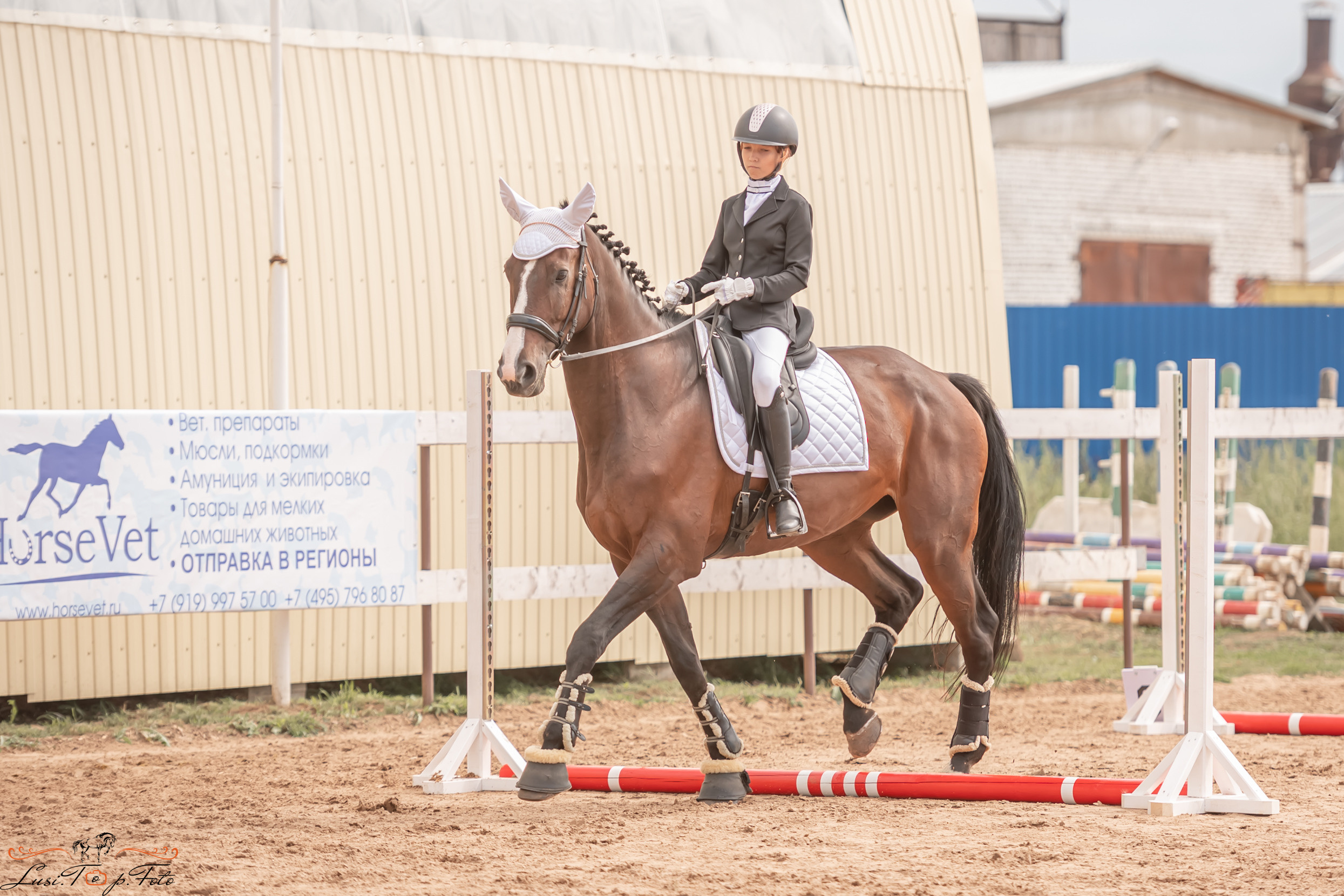 Открытая тренировка по выездке и конкуру в КК Резвая. Конный и фотограф с животными в Твери Топталова Люся