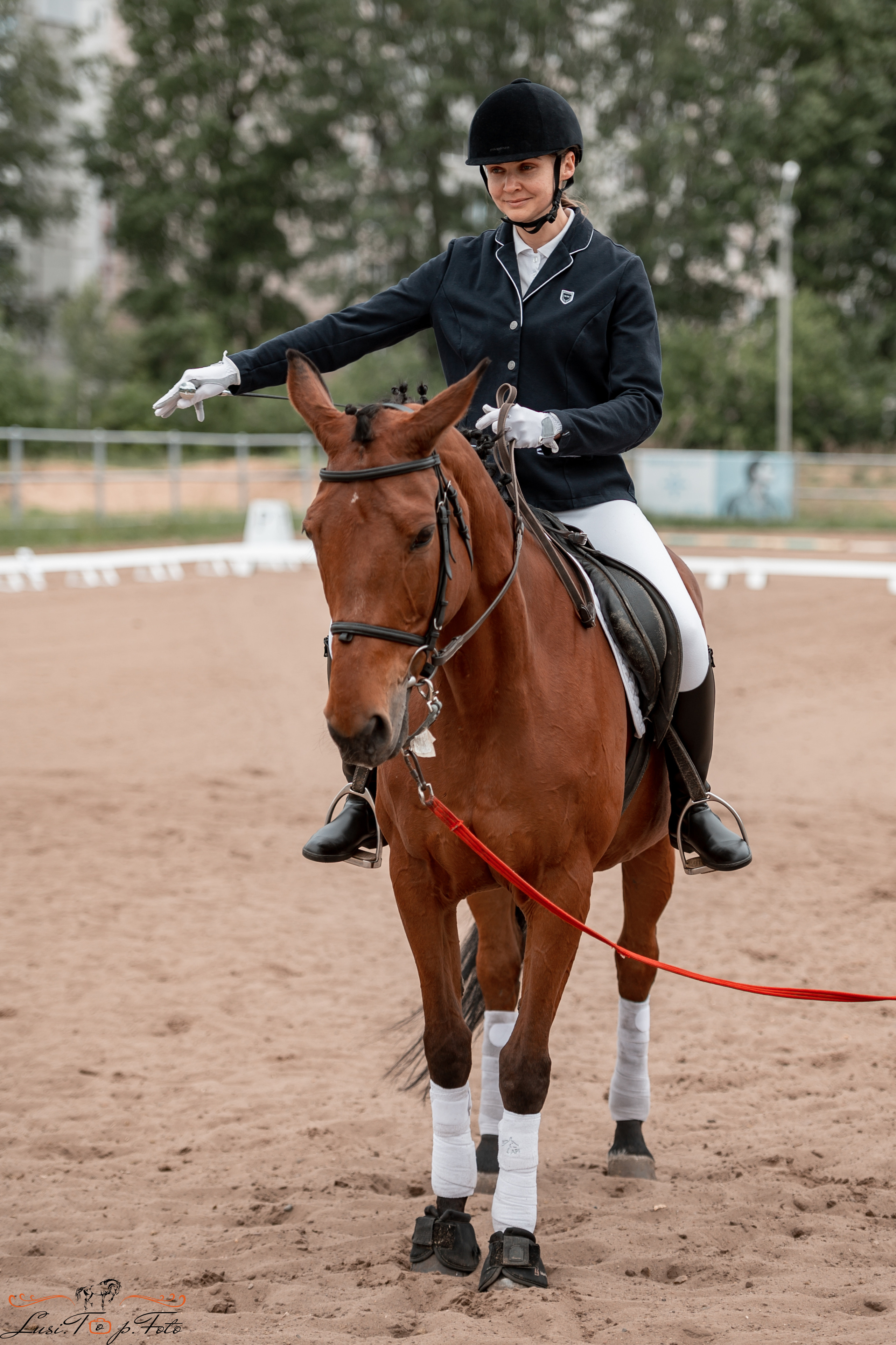 Чемпионат и первенство Тверской области по выездке. Конный и фотограф с животными в Твери Топталова Люся