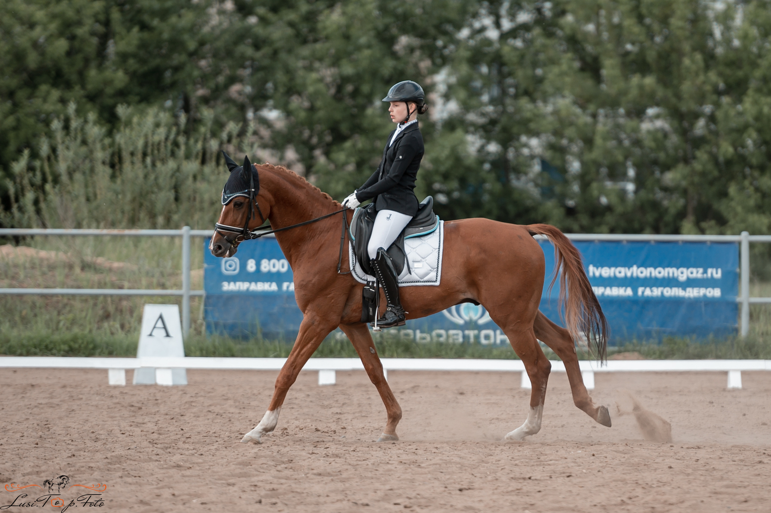 Чемпионат и первенство Тверской области по выездке. Конный и фотограф с животными в Твери Топталова Люся