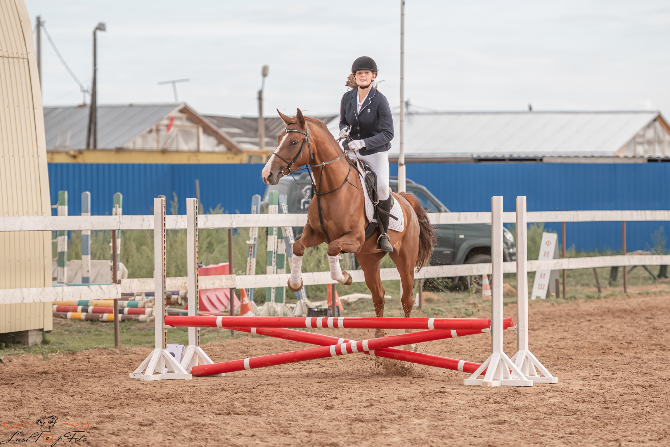 Открытая тренировка по выездке и конкуру в КК Резвая. Конный и фотограф с животными в Твери Топталова Люся