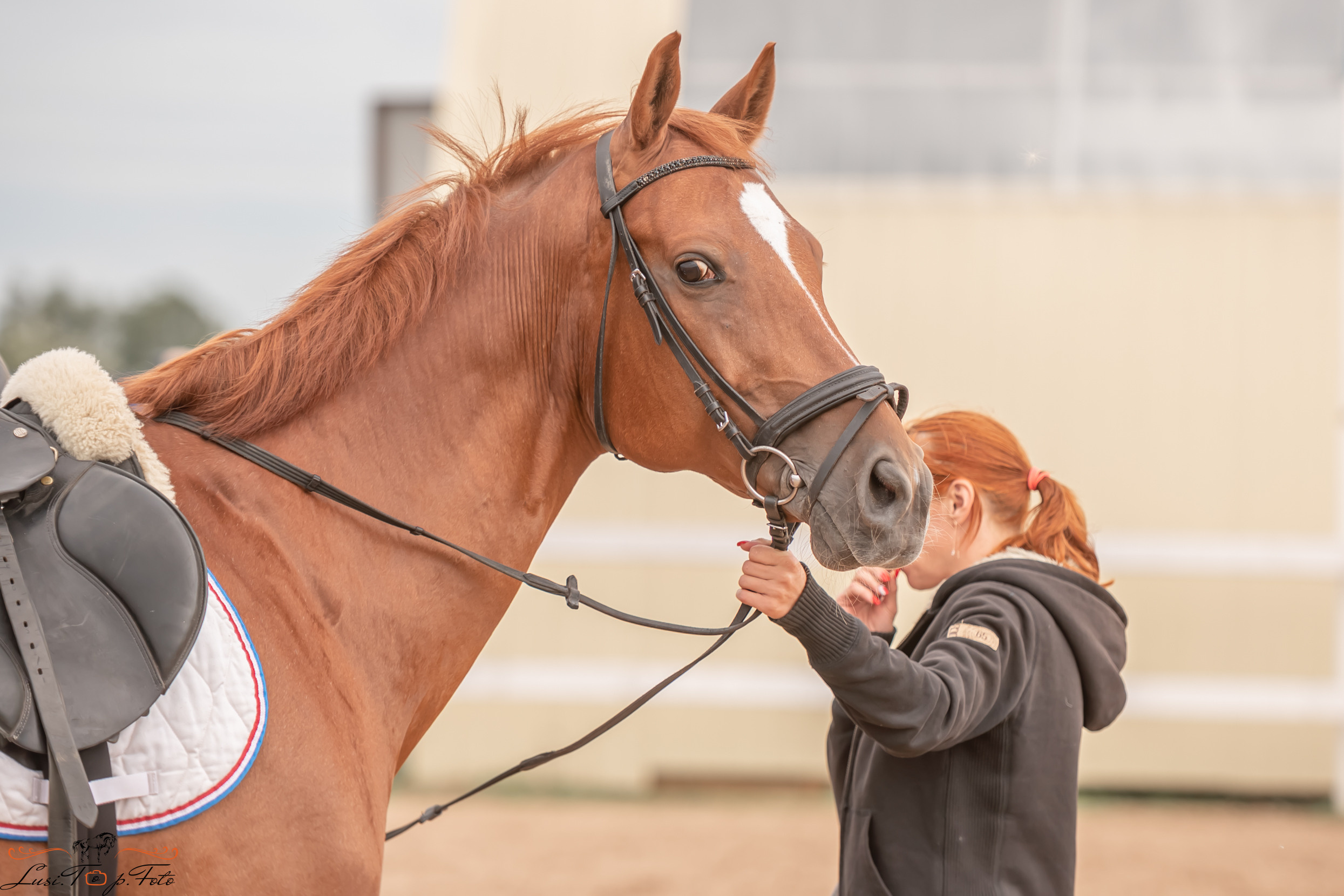 Открытая тренировка по выездке и конкуру в КК Резвая. Конный и фотограф с животными в Твери Топталова Люся