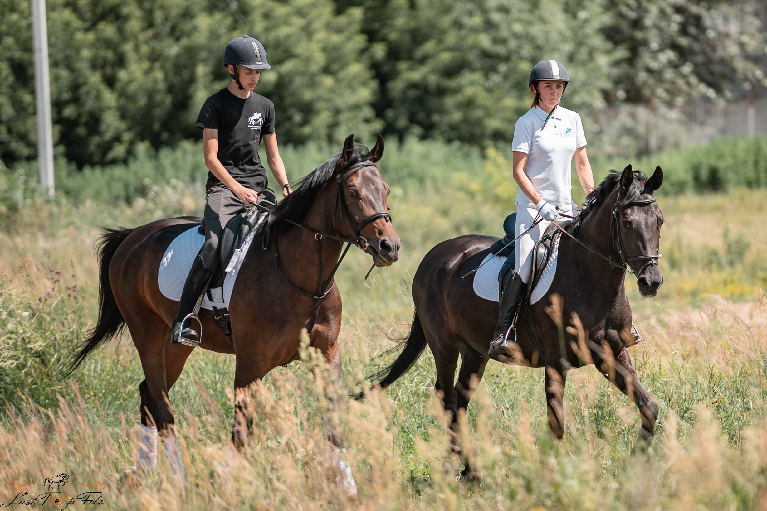 Первенство Тверской области по конкуру на Тверском ипподроме. Конный и фотограф с животными в Твери Топталова Люся