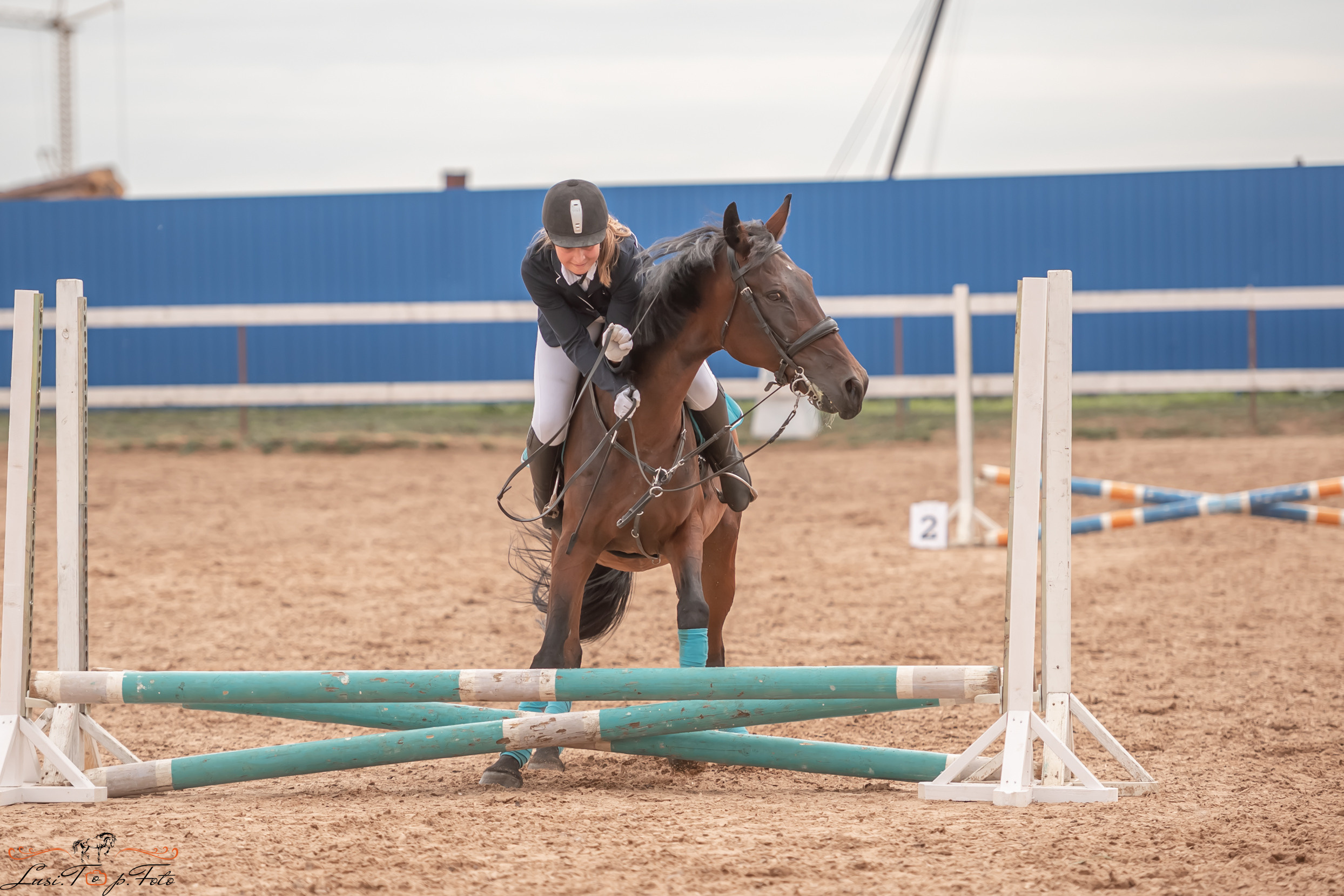 Открытая тренировка по выездке и конкуру в КК Резвая. Конный и фотограф с животными в Твери Топталова Люся