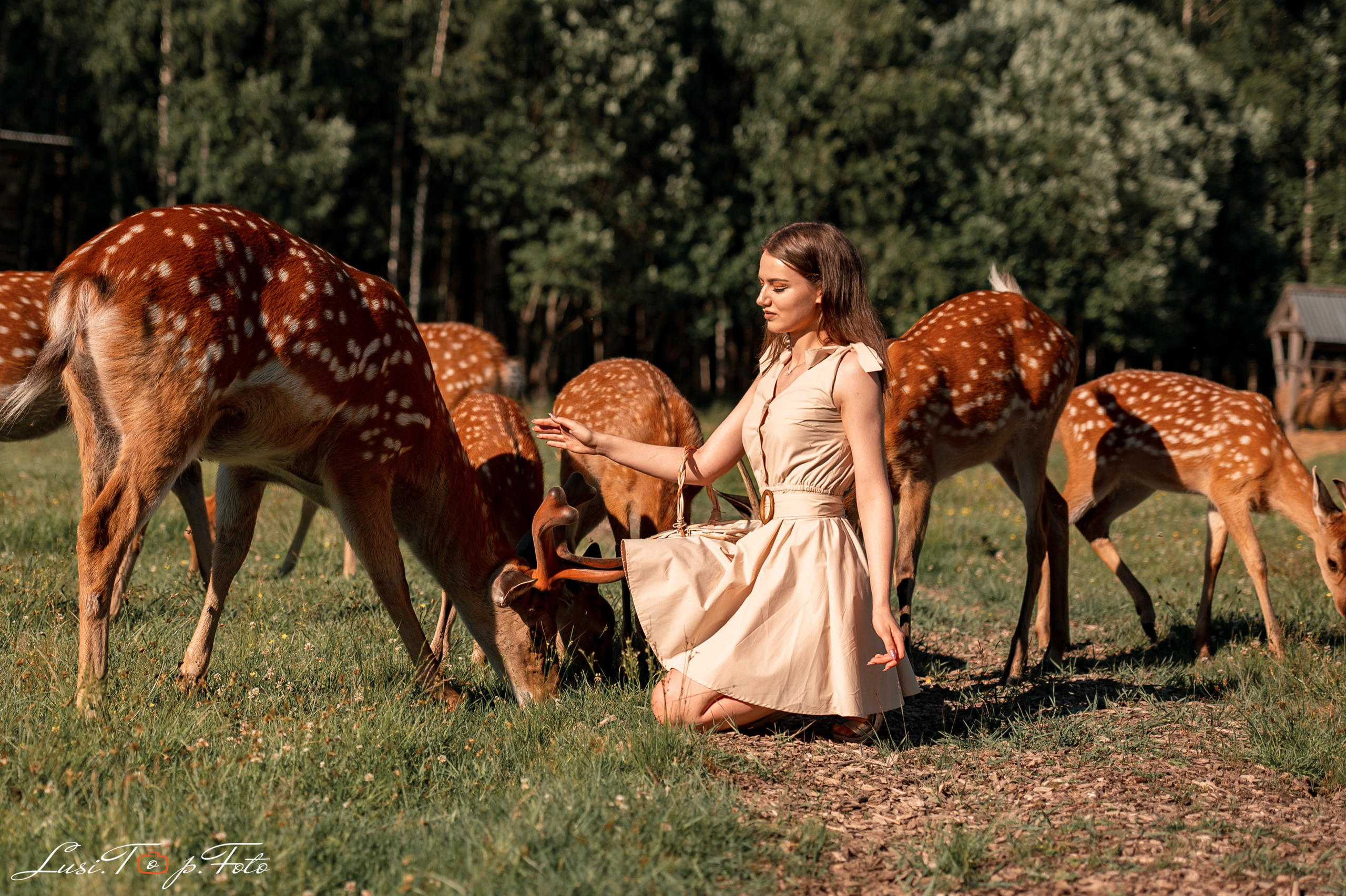 Оленья ферма. Конный и фотограф с животными в Твери Топталова Люся