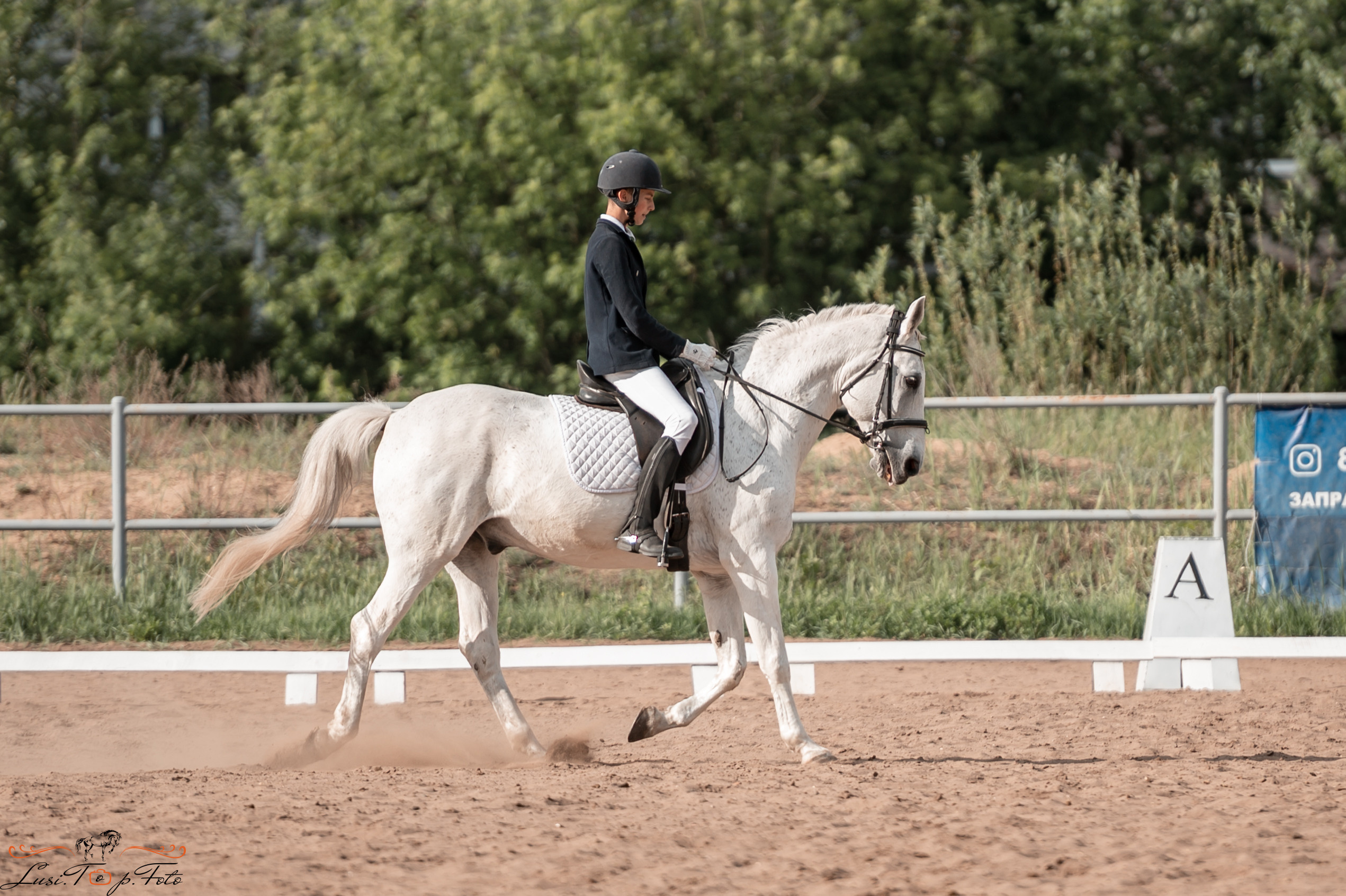 Чемпионат и первенство Тверской области по выездке. Конный и фотограф с животными в Твери Топталова Люся