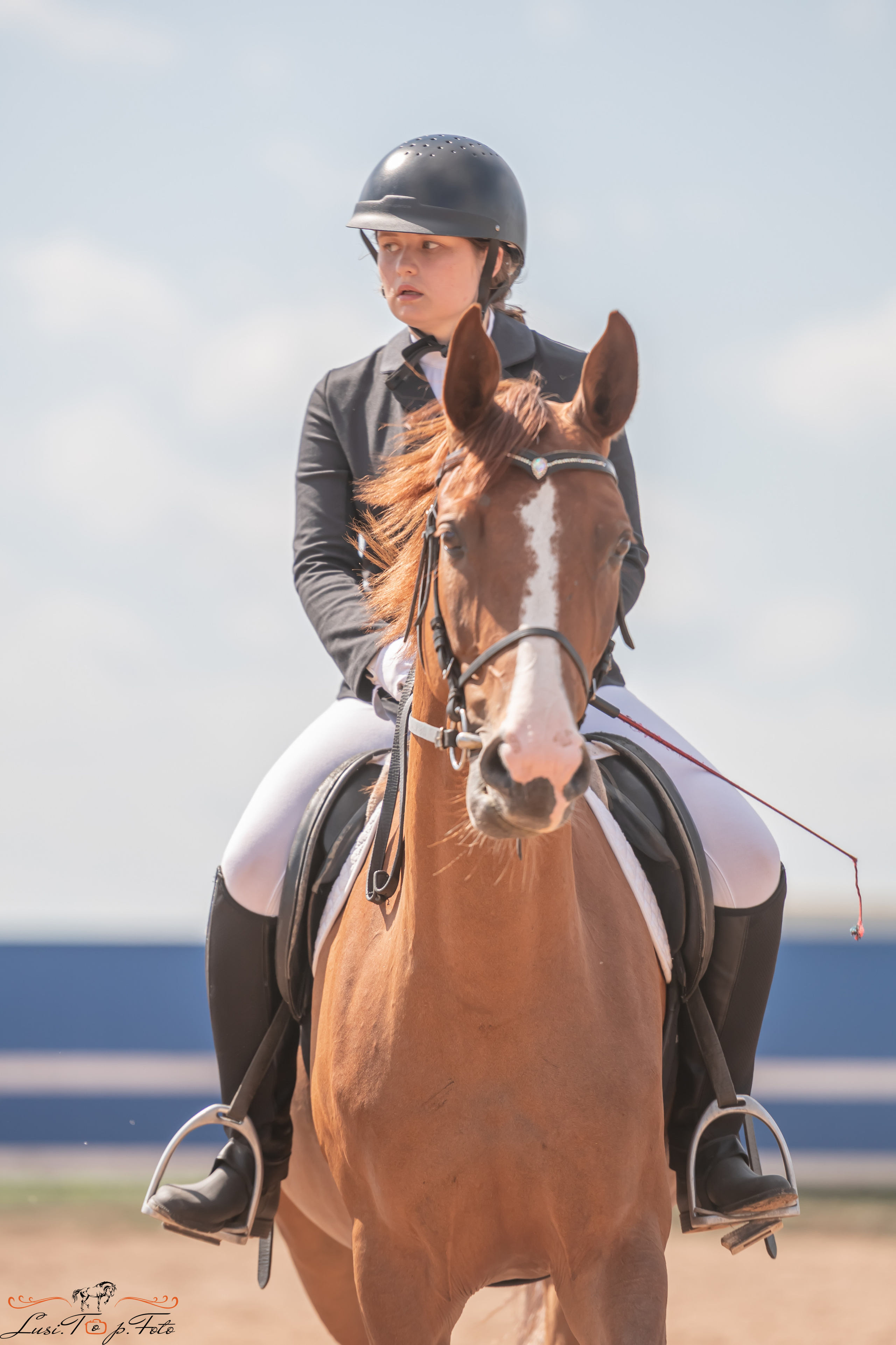 Открытая тренировка по выездке и конкуру в КК Резвая. Конный и фотограф с животными в Твери Топталова Люся