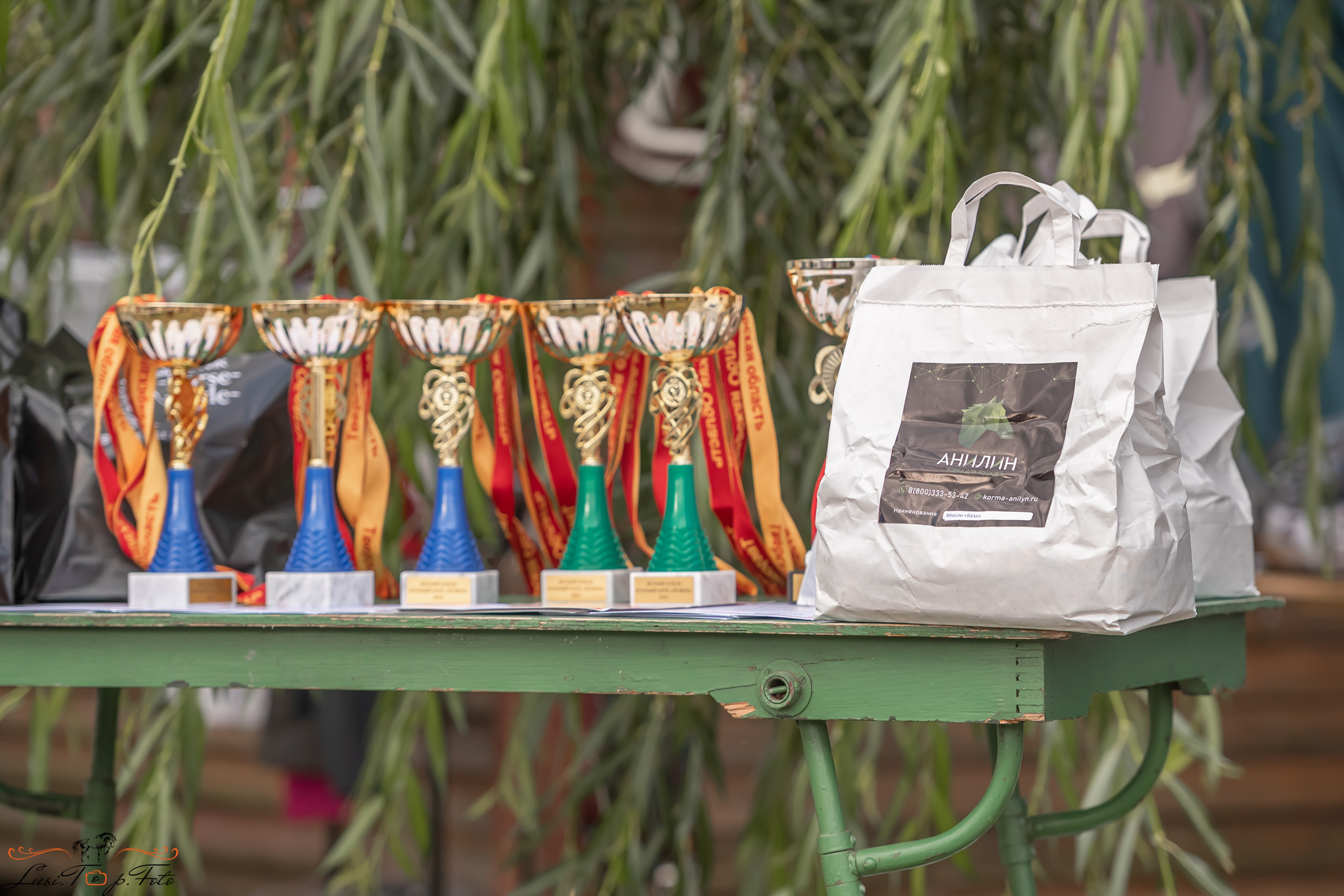 Открытая тренировка по выездке и конкуру в КК Резвая. Конный и фотограф с животными в Твери Топталова Люся