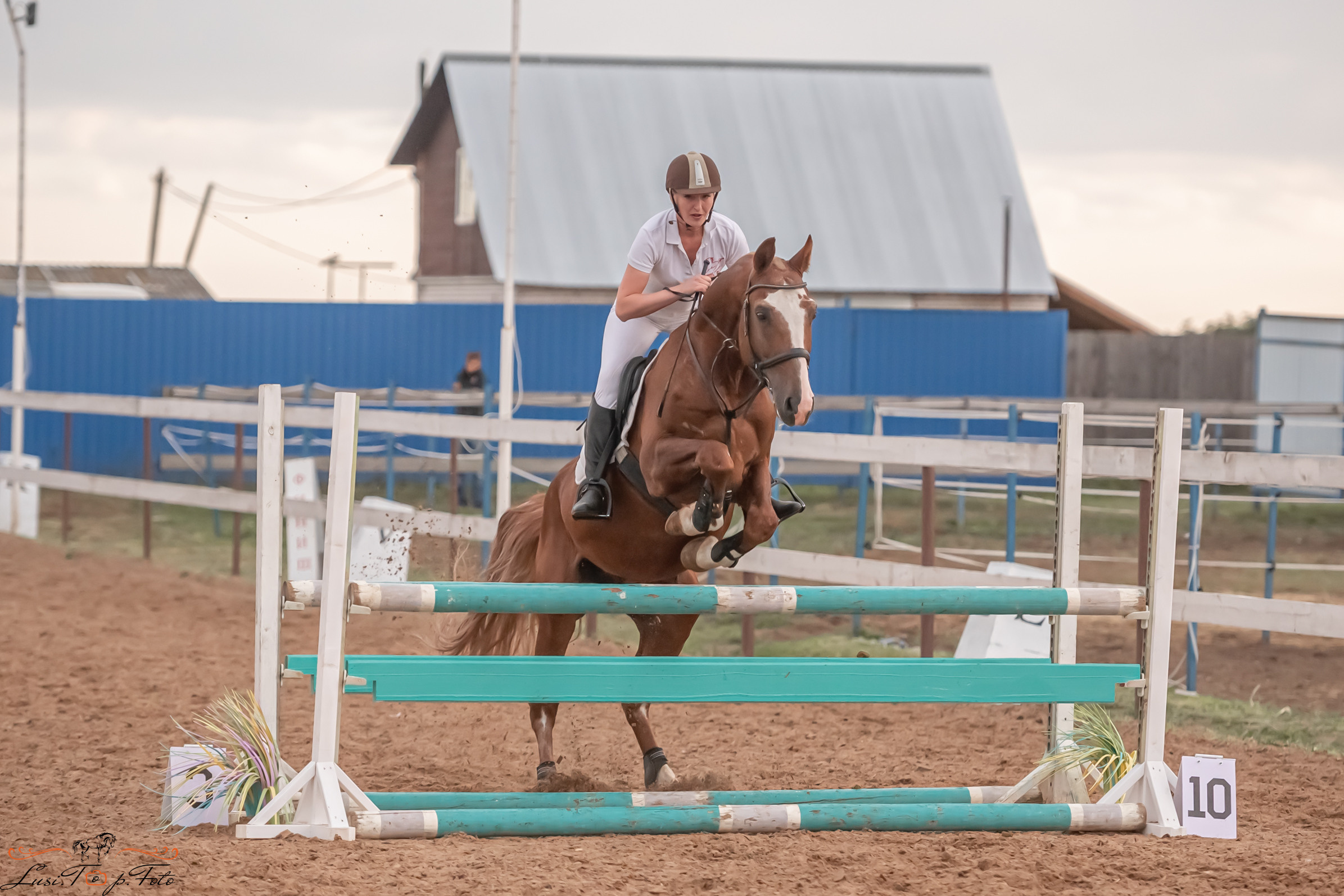 Открытая тренировка по выездке и конкуру в КК Резвая. Конный и фотограф с животными в Твери Топталова Люся
