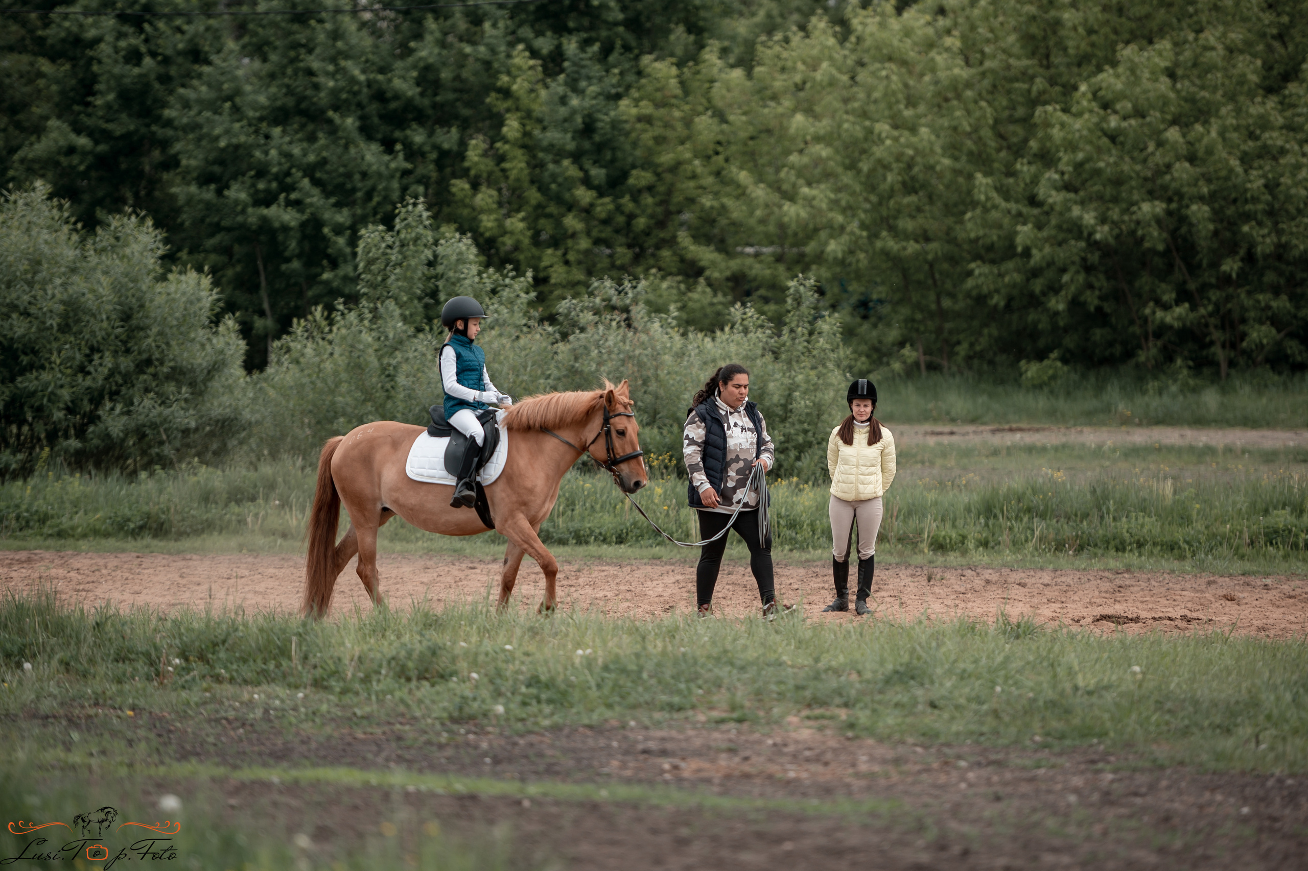 Чемпионат и первенство Тверской области по выездке. Конный и фотограф с животными в Твери Топталова Люся