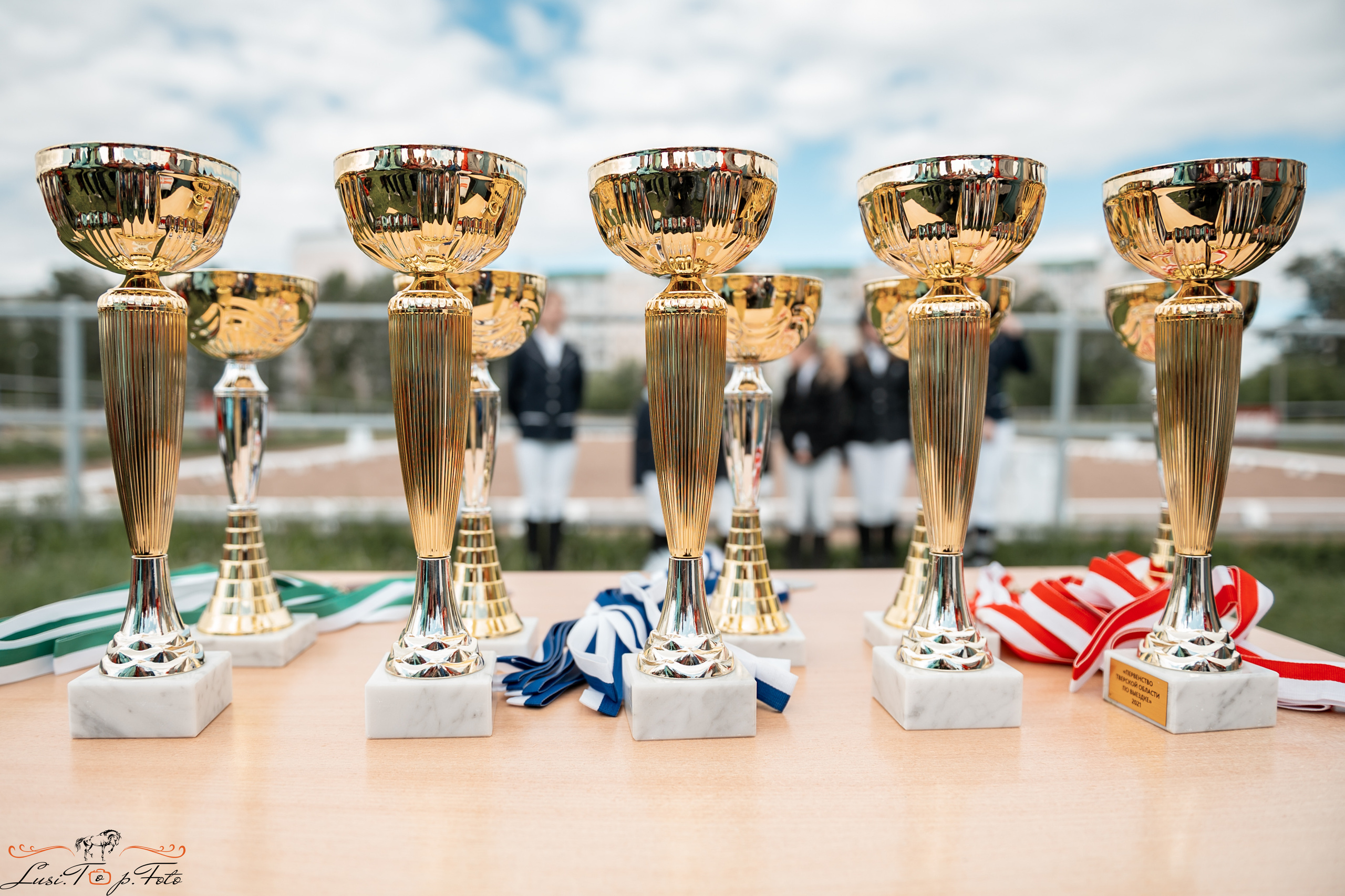 Чемпионат и первенство Тверской области по выездке. Конный и фотограф с животными в Твери Топталова Люся