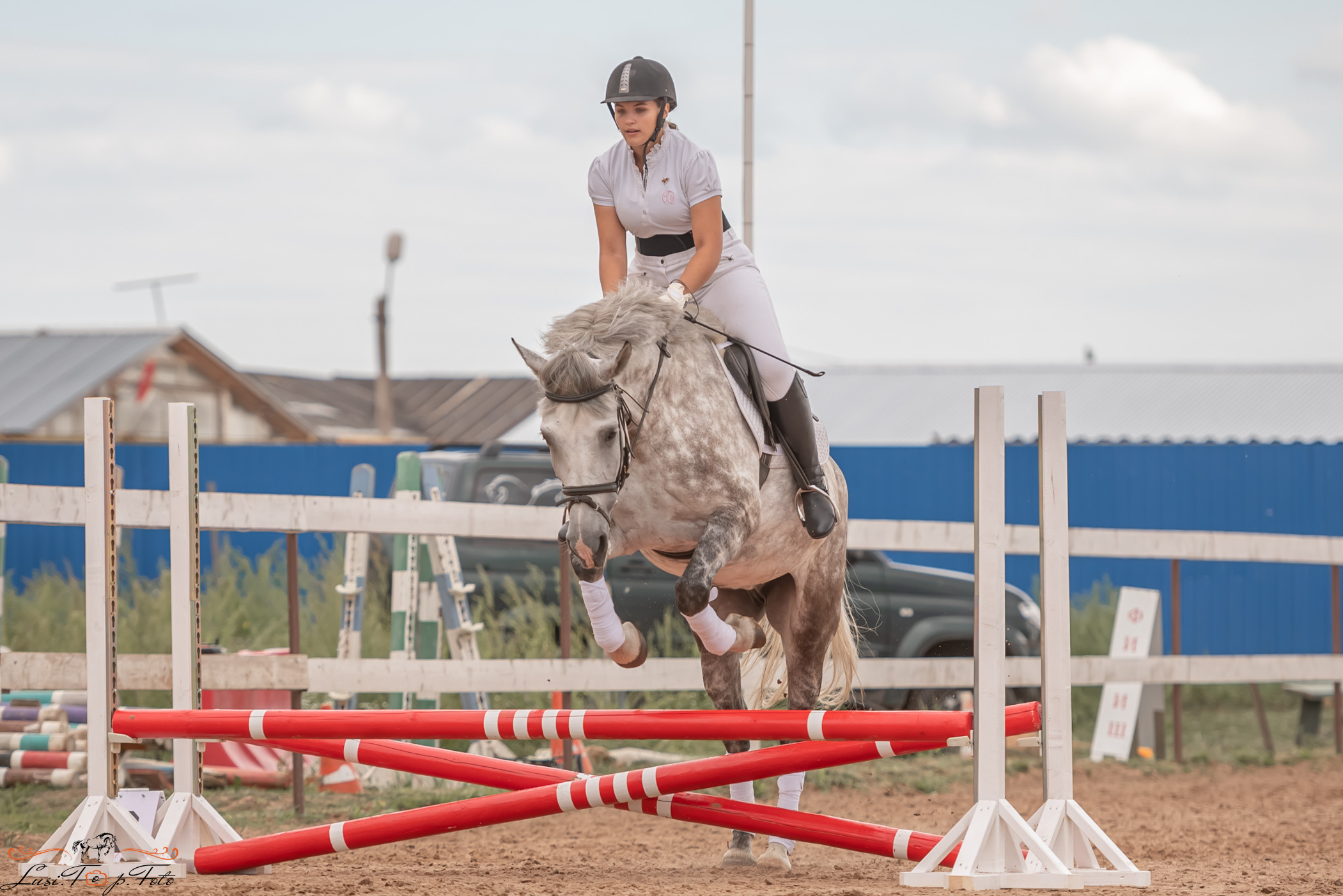 Открытая тренировка по выездке и конкуру в КК Резвая. Конный и фотограф с животными в Твери Топталова Люся