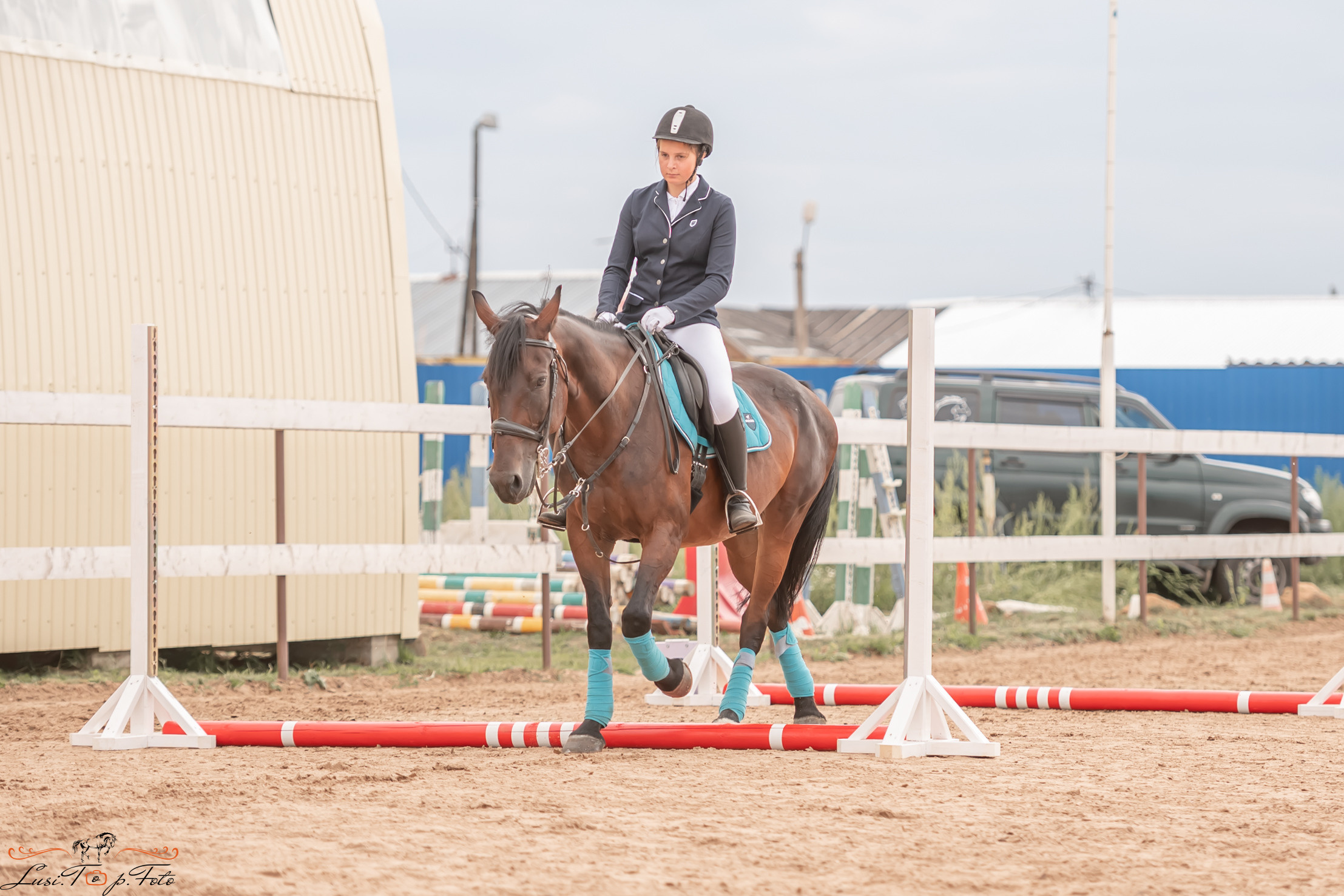 Открытая тренировка по выездке и конкуру в КК Резвая. Конный и фотограф с животными в Твери Топталова Люся