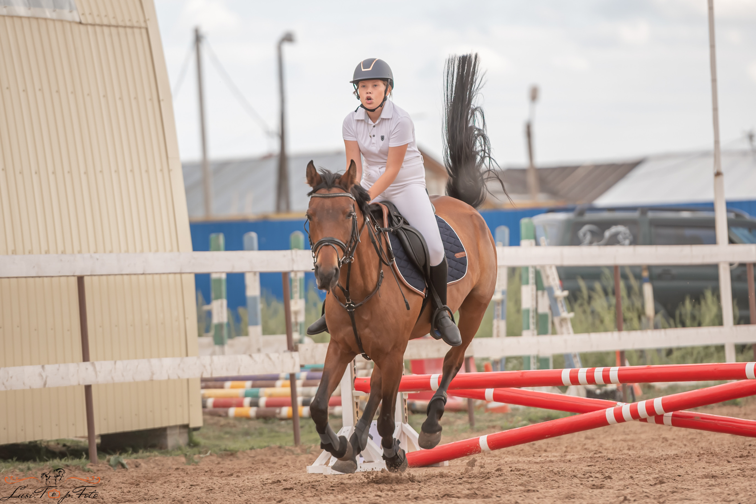 Открытая тренировка по выездке и конкуру в КК Резвая. Конный и фотограф с животными в Твери Топталова Люся