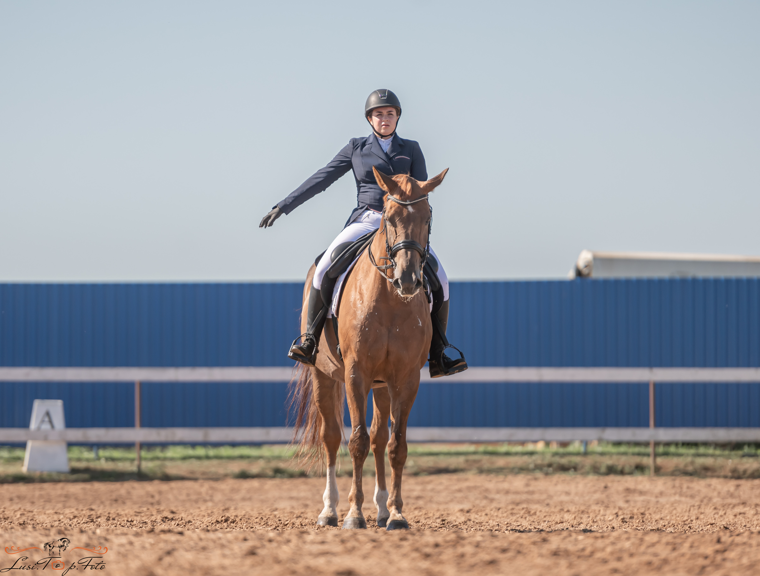 Открытая тренировка по выездке и конкуру в КК Резвая. Конный и фотограф с животными в Твери Топталова Люся