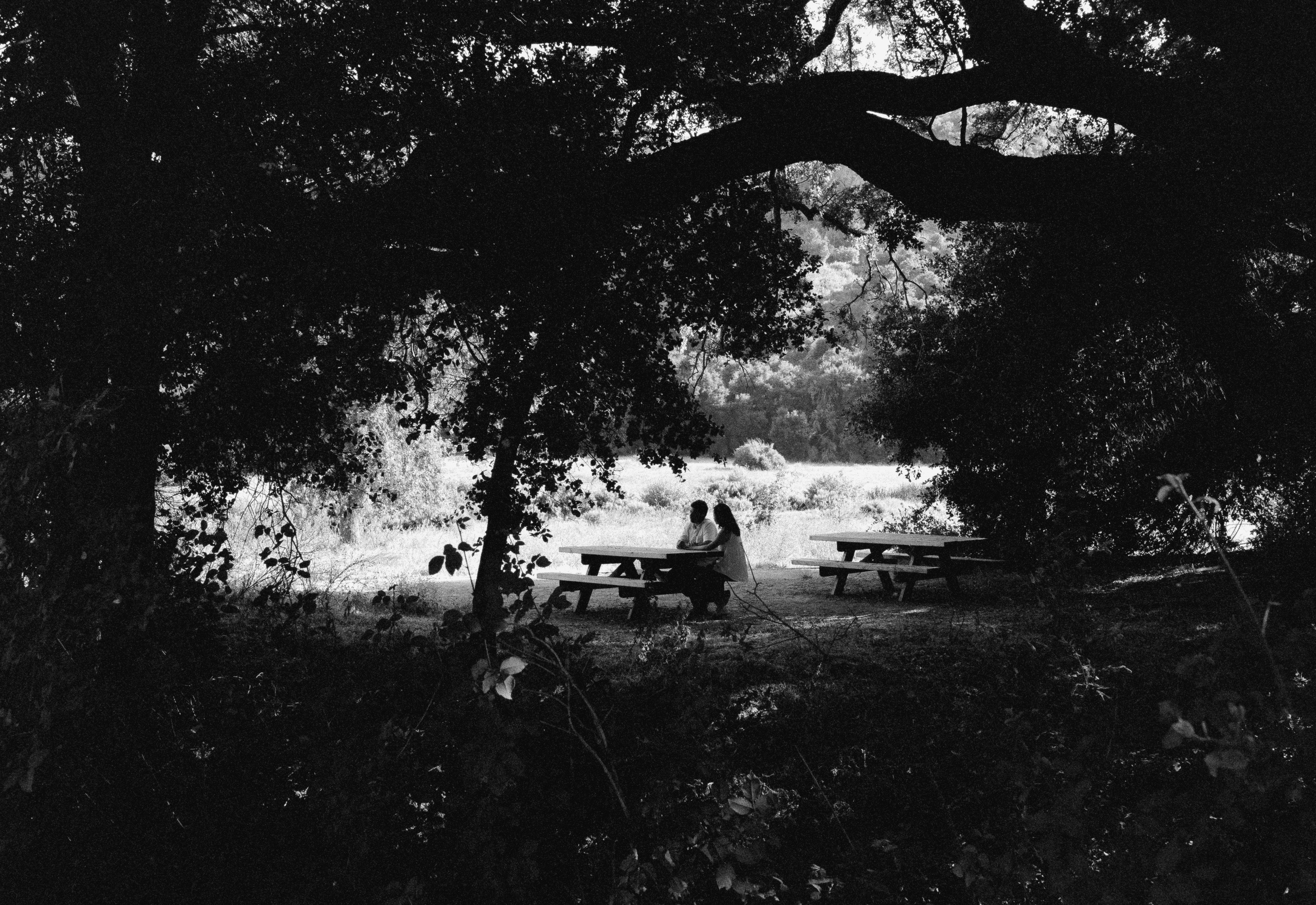 Couples. Film photographer in Los Angeles Anastasiya Pankova