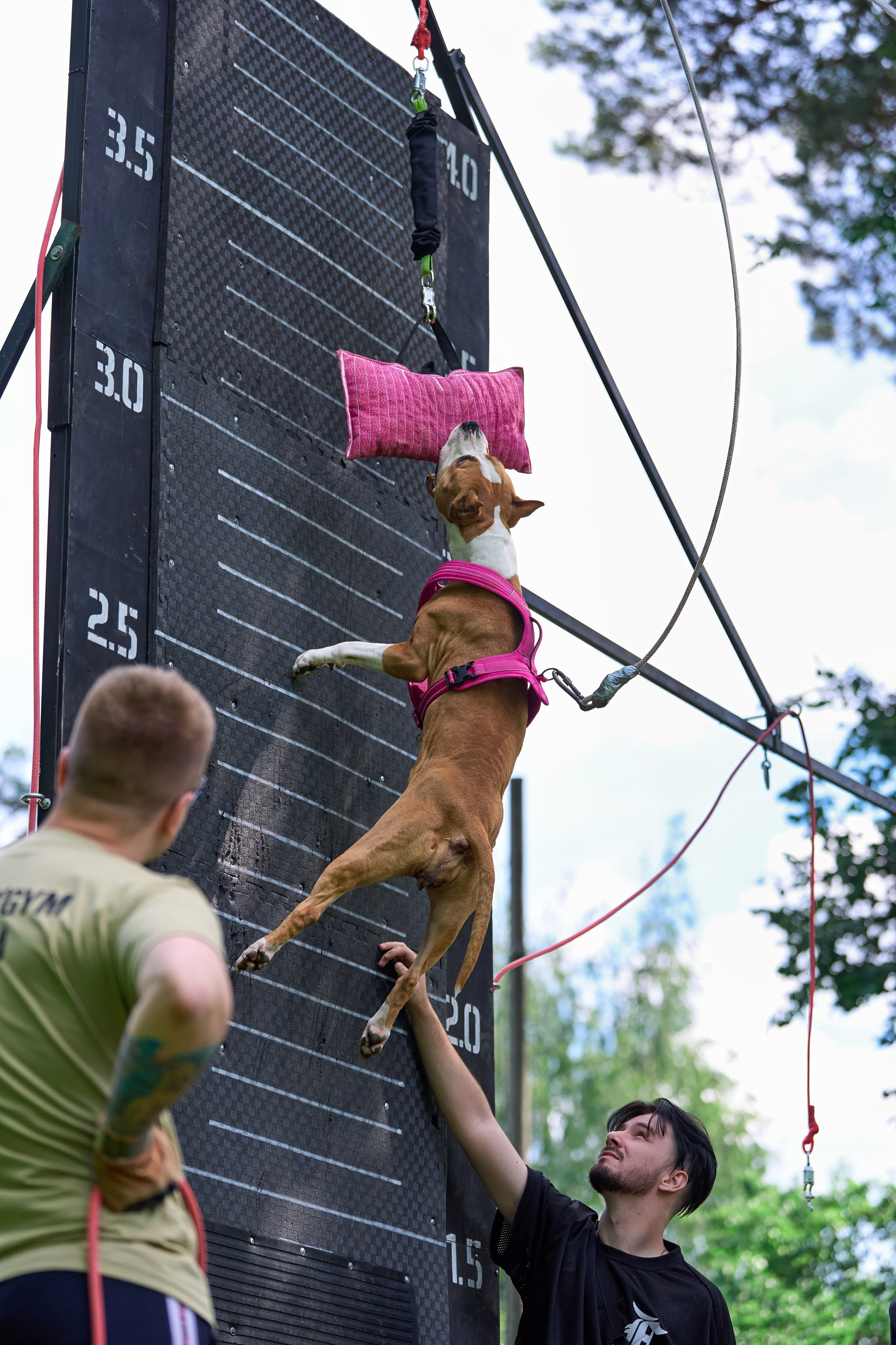 Двухдневные соревнования «Jump'n'Gym Fest — 2024». Фотограф-анималист Михаил Манухин