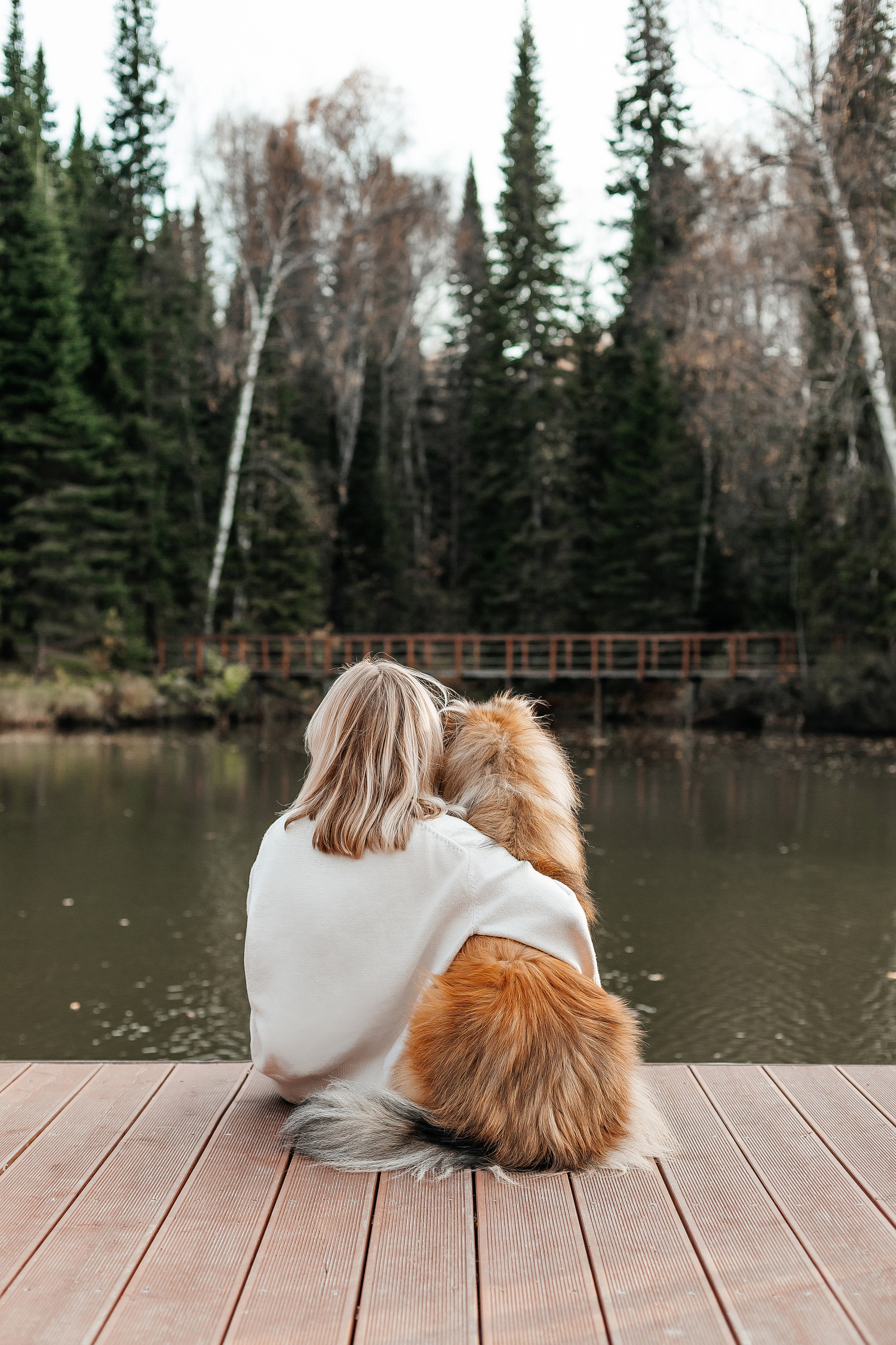 Портфолио animal. Фотограф — анималист Маргарита Хелбен Краснодар