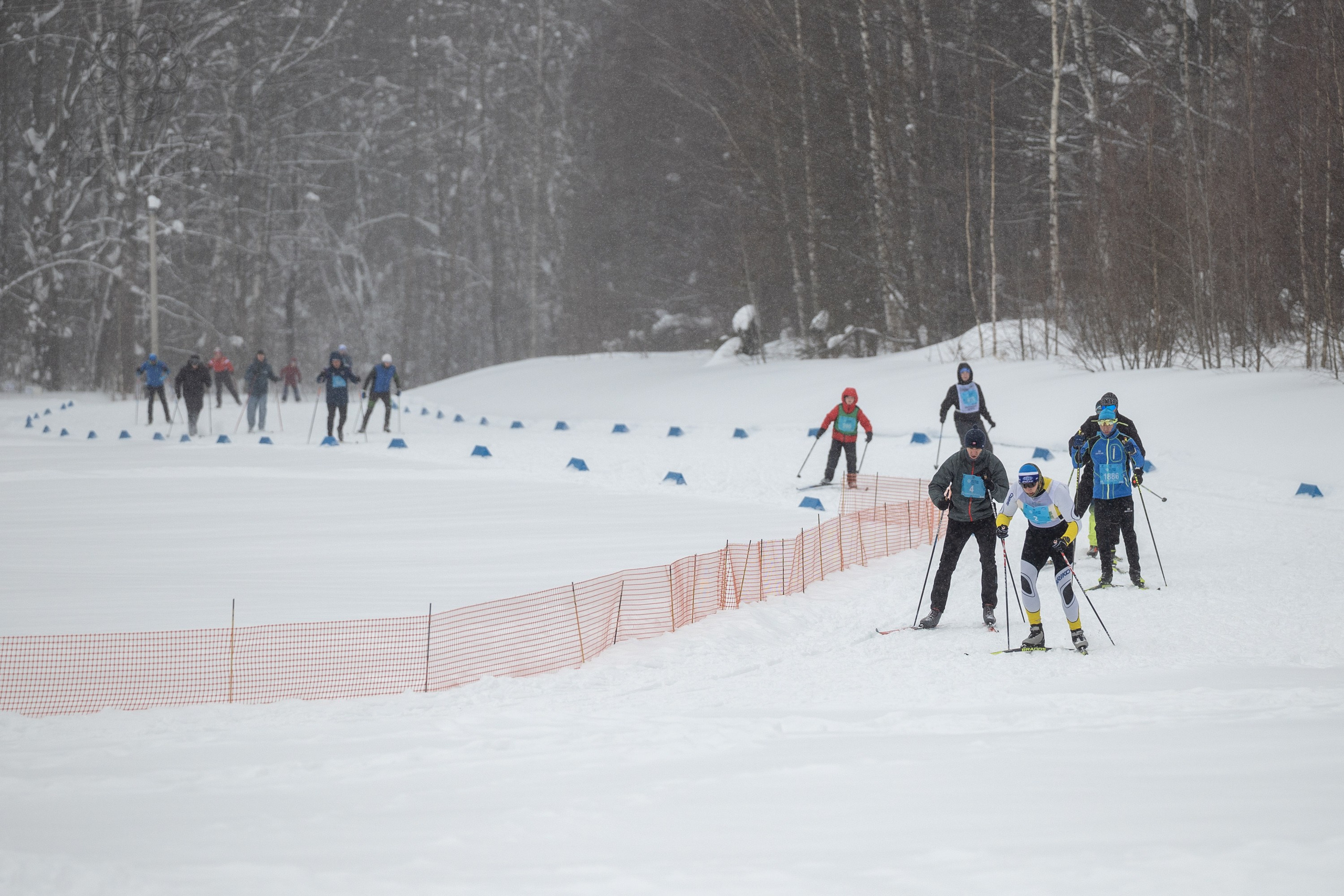 ЛЫЖНЯ РОССИИ 2026 КОСТРОМА. Портретный фотограф в Костроме Наталия Клевинскас