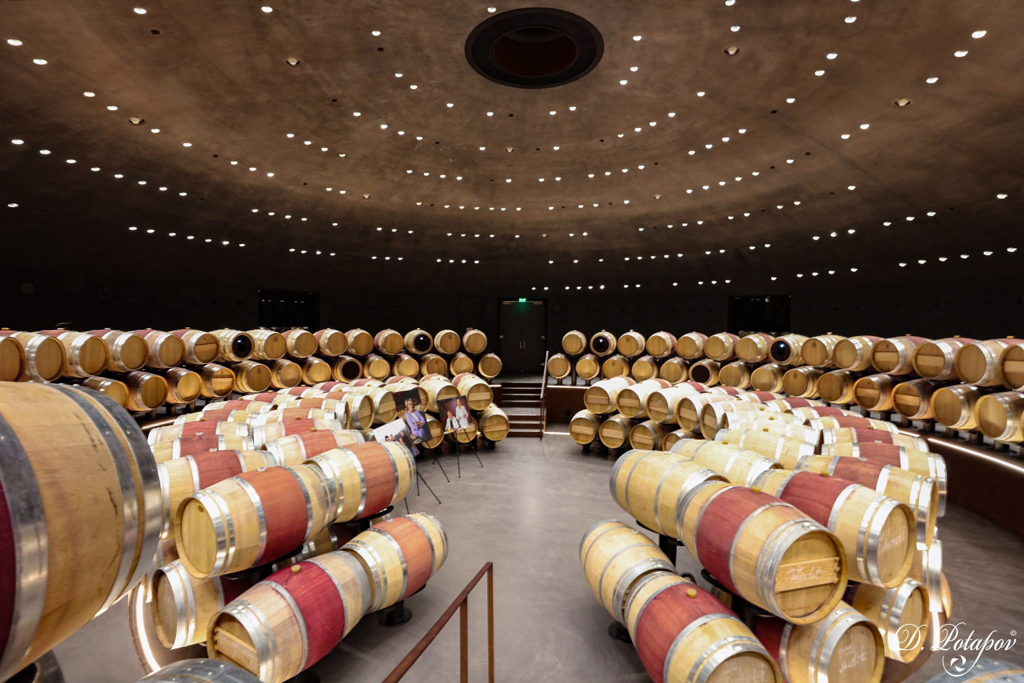Винный парк (WINEPARK). Московский фотограф Дмитрий Потапов