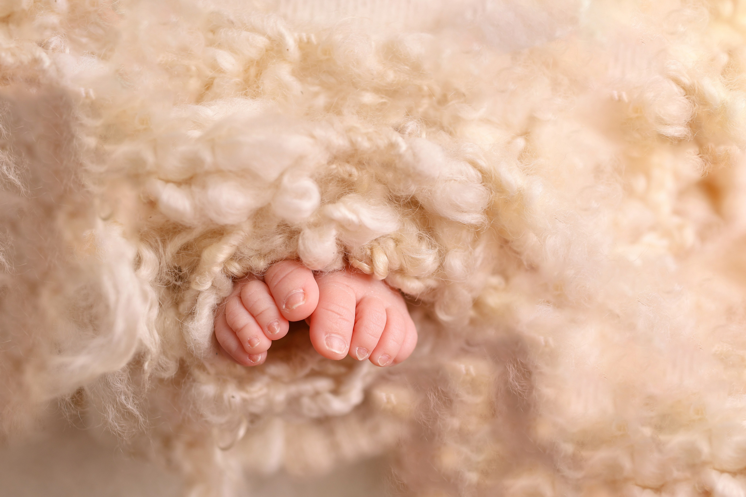 Новорожденные. Нина Зеленева фотограф новорожденных