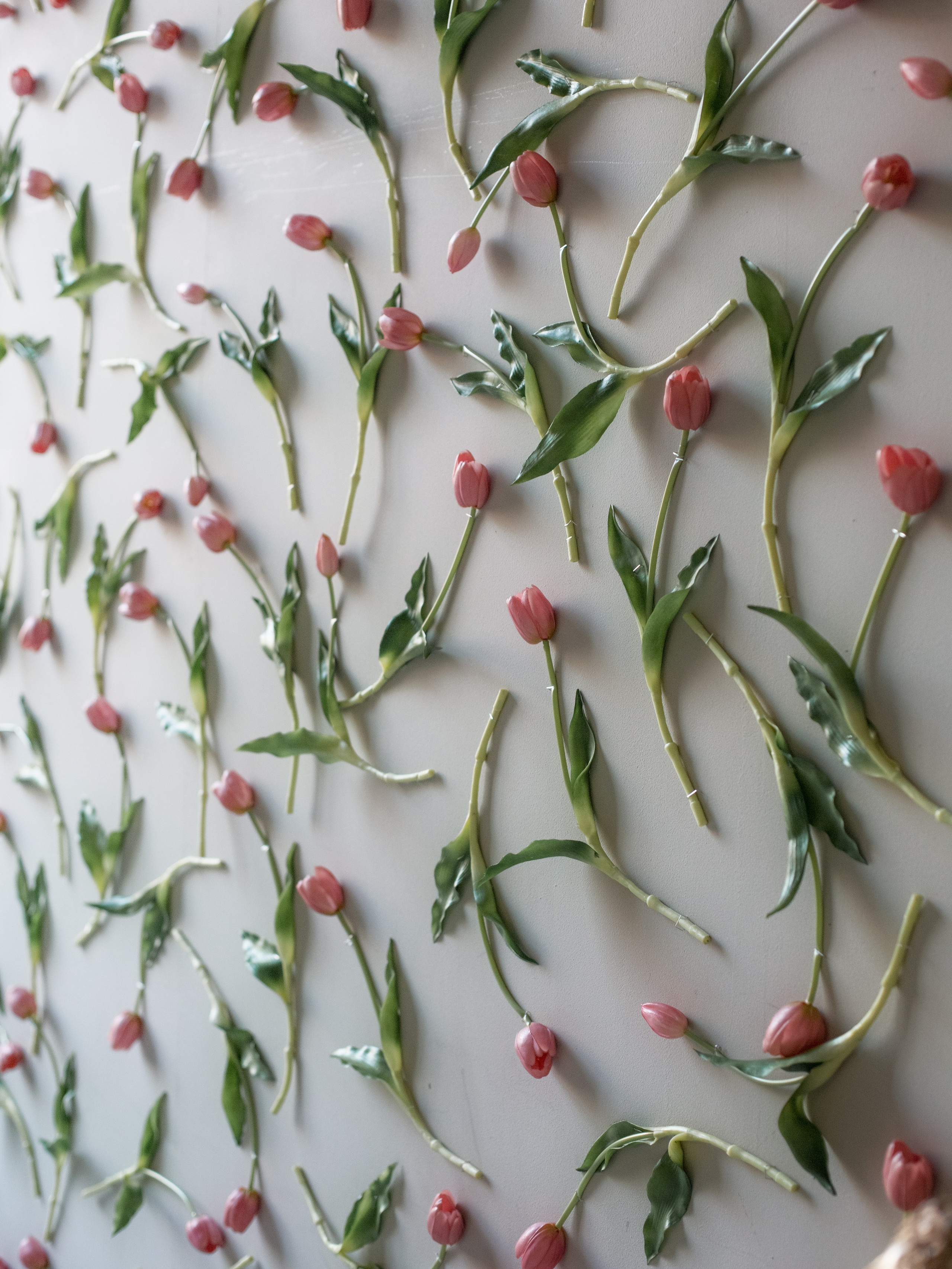 Фотостудия Алматы зал Валенсия. Фотостудия Алматы — 2 Stula.Studio | Аренда залов