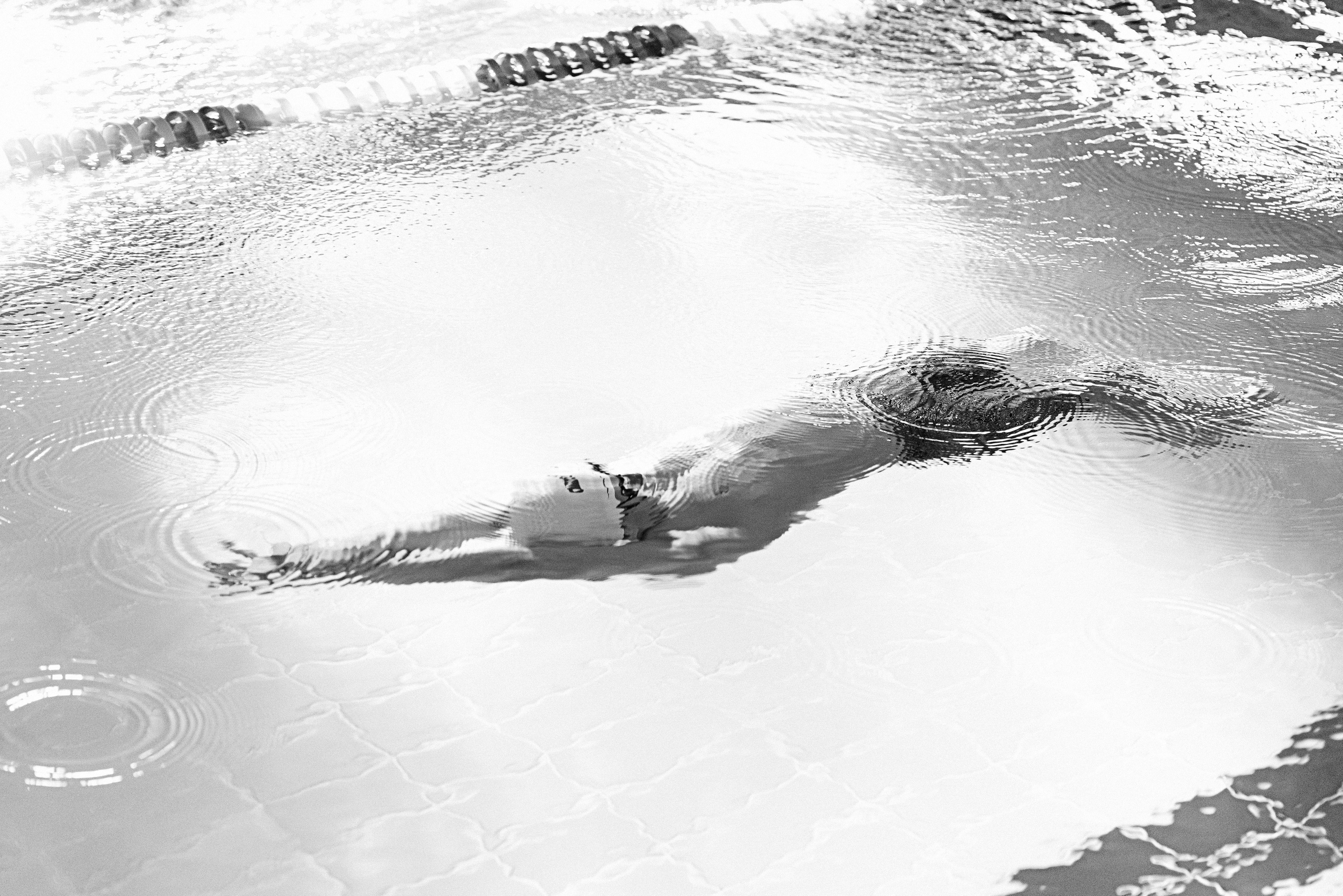 Спортивный фотограф Алексей Соломин