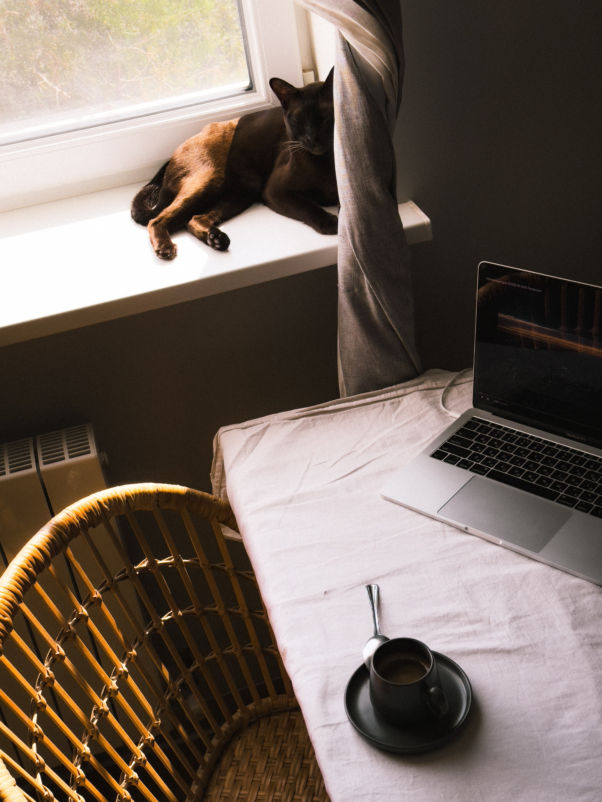 Мастер класс. Фотограф Анастасия Дмитриева