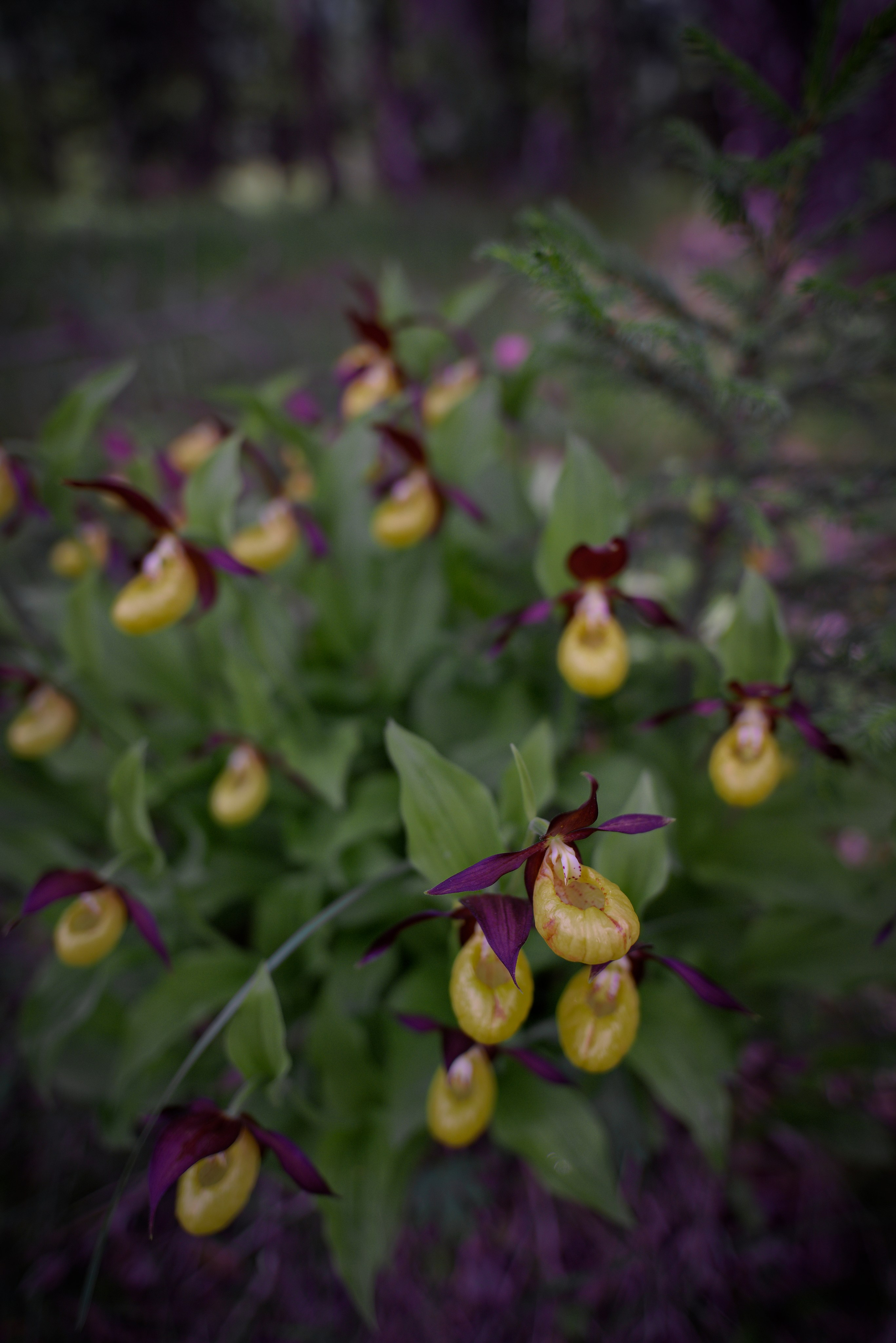 Экспедиция в Монголию (котловина больших озер). Семоха Валерий. Фотограф