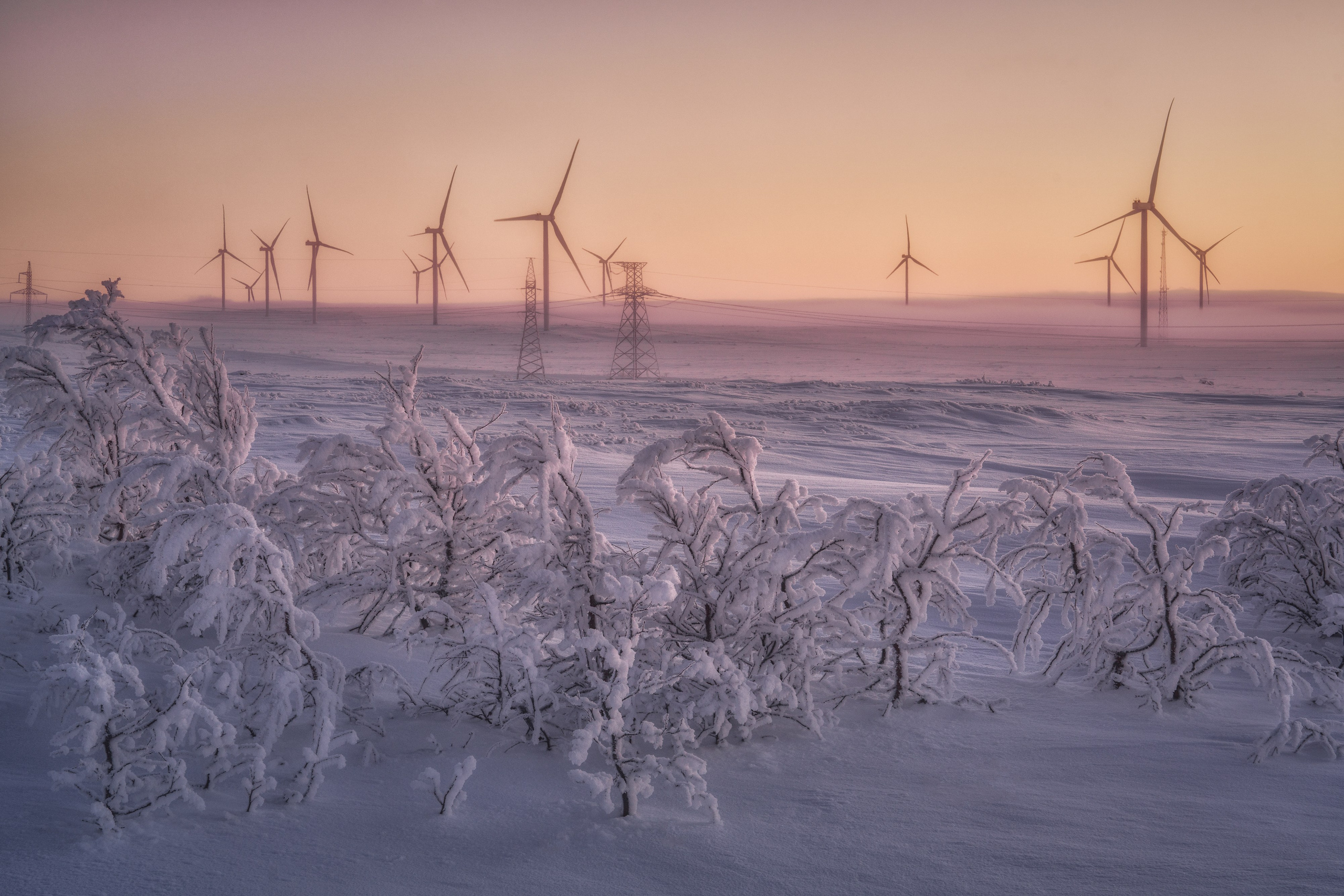 Предзимье на Кольском
