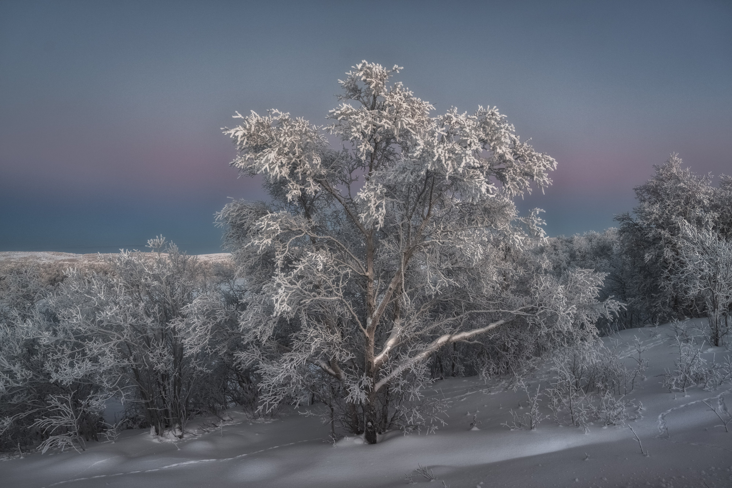 Предзимье на Кольском