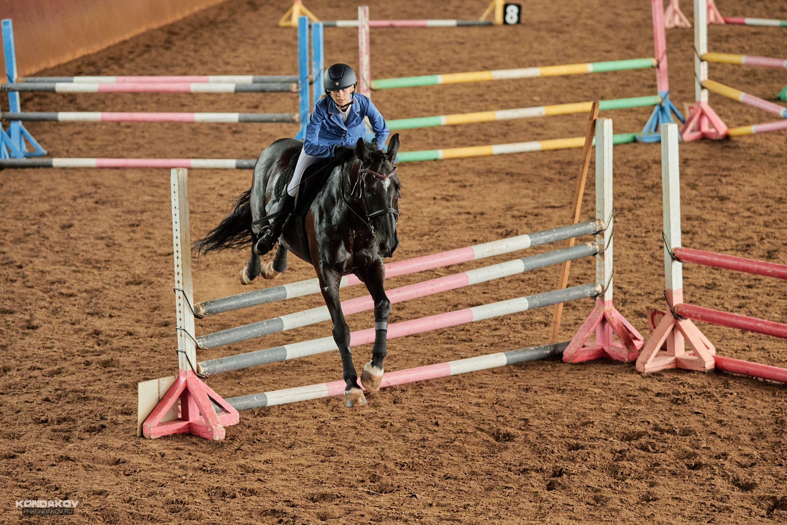 Съемка соревнований по конкуру для Риат. Фотограф в Иваново: Каталожная съемка одежды и постельного белья, Wildberries