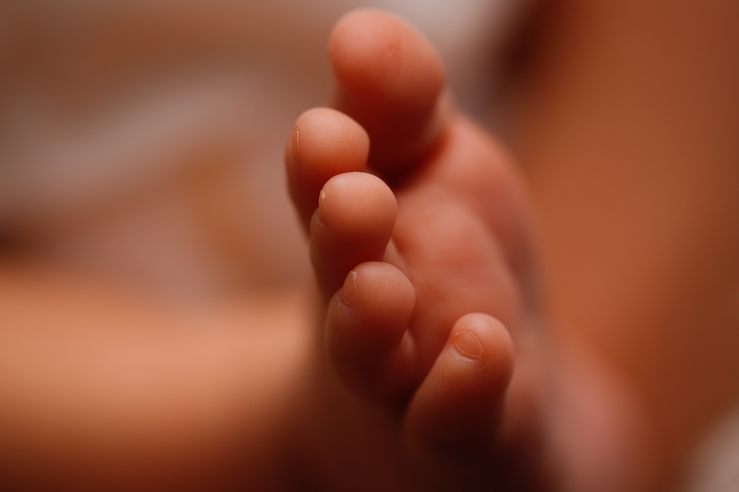 София 2 недели. Фотограф новорожденных Екатеринбург