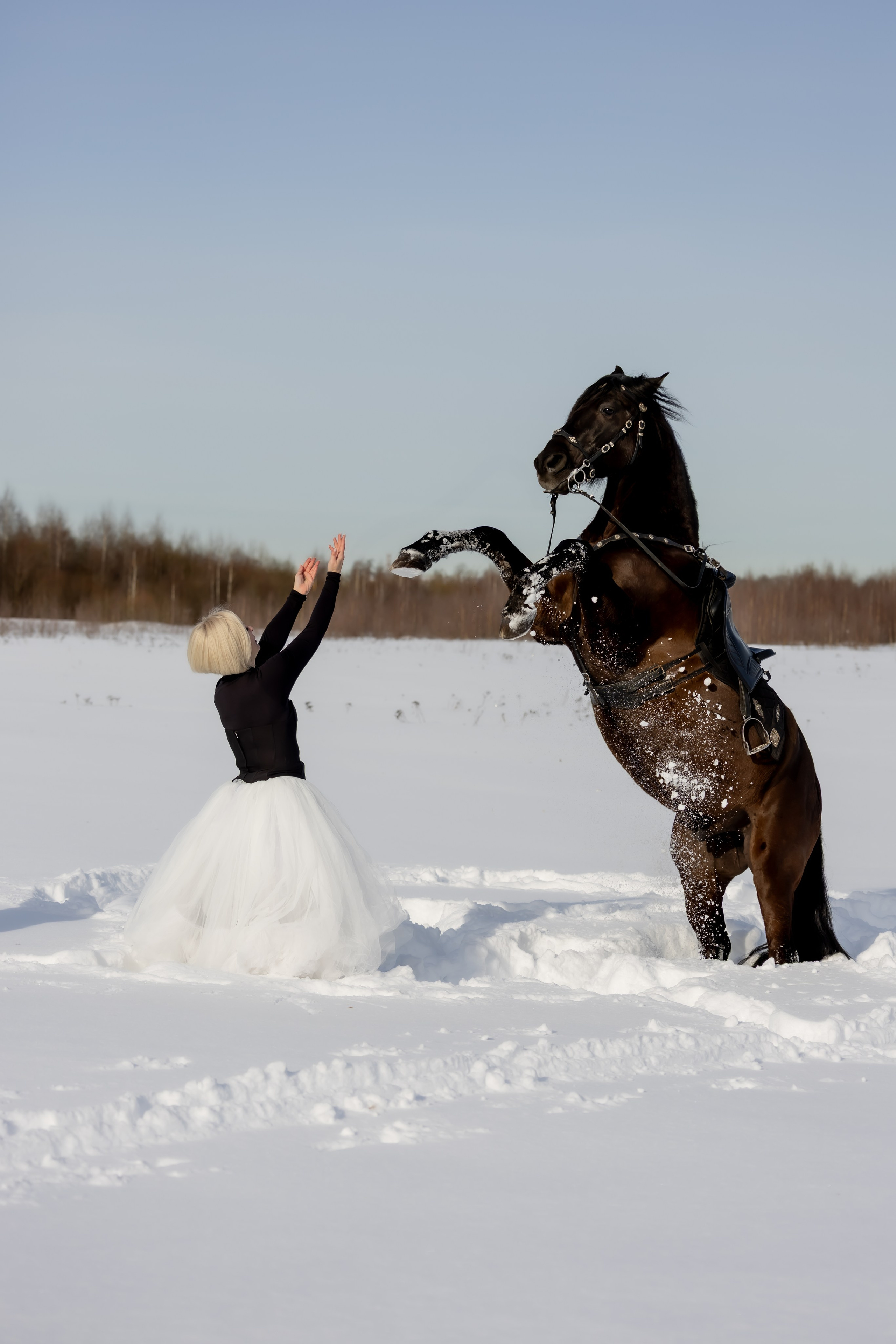 ЛОШАДИ для фотосессии. Конный фотограф в Москве Светлана Богначева