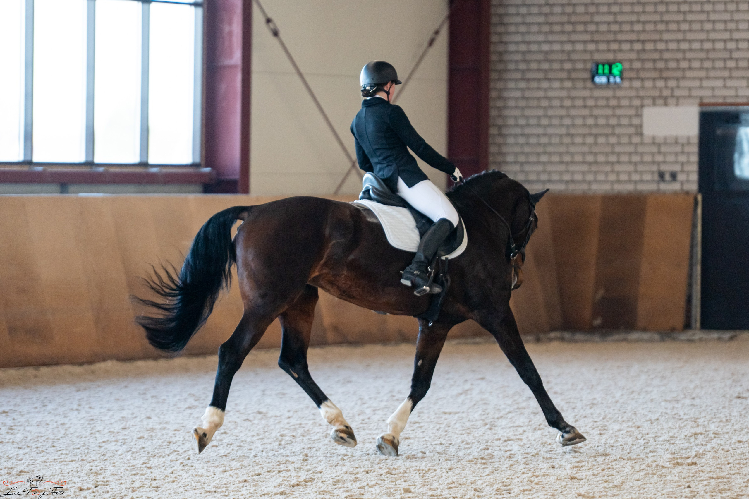 Эквипарк 6 этап Кубка Клубов. Конный и фотограф с животными в Твери Топталова Люся