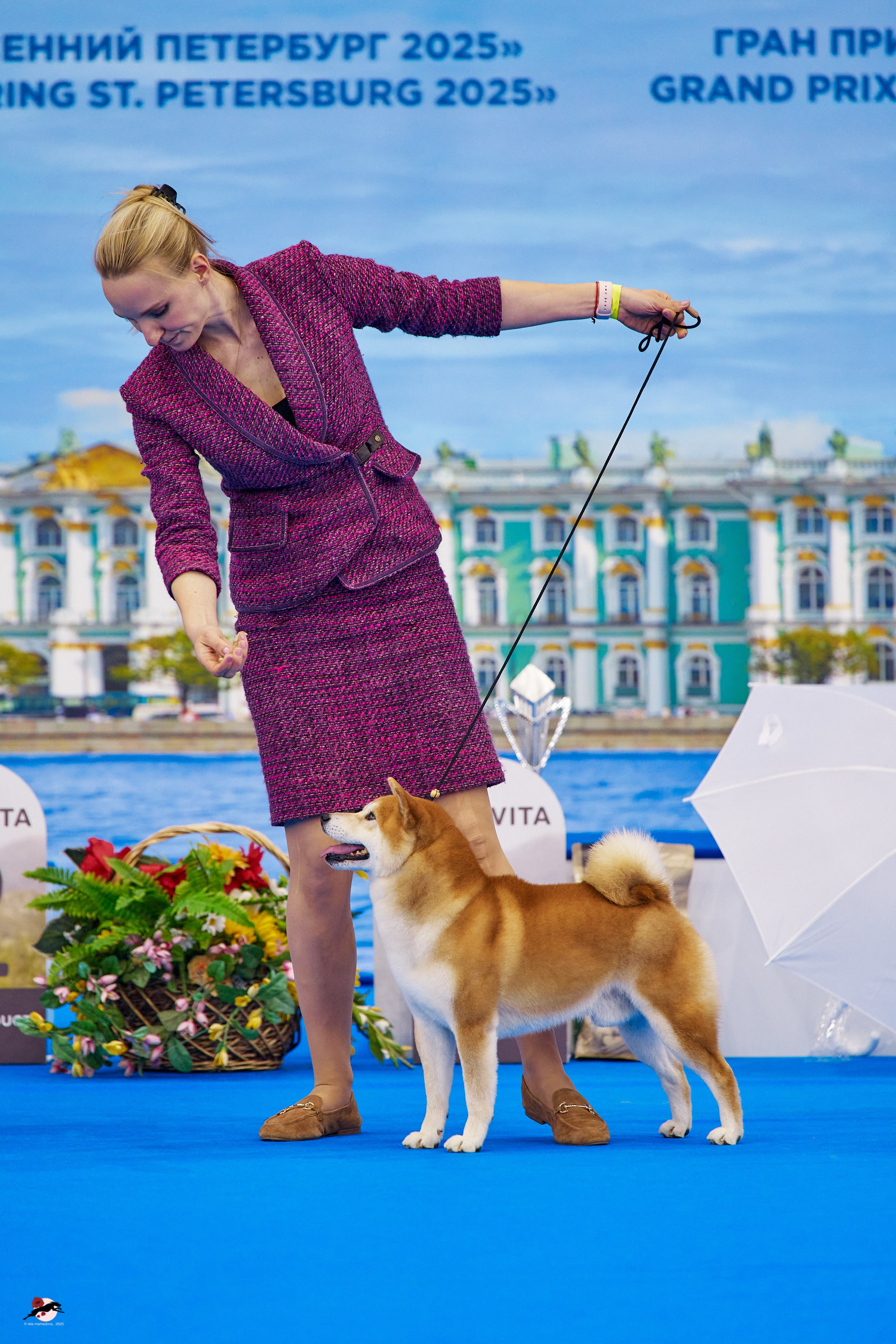 ГРАН ПРИ «ВЕСЕННИЙ ПЕТЕРБУРГ» & «СУПЕР КУБОК «ЭЛИТЫ»-2025»