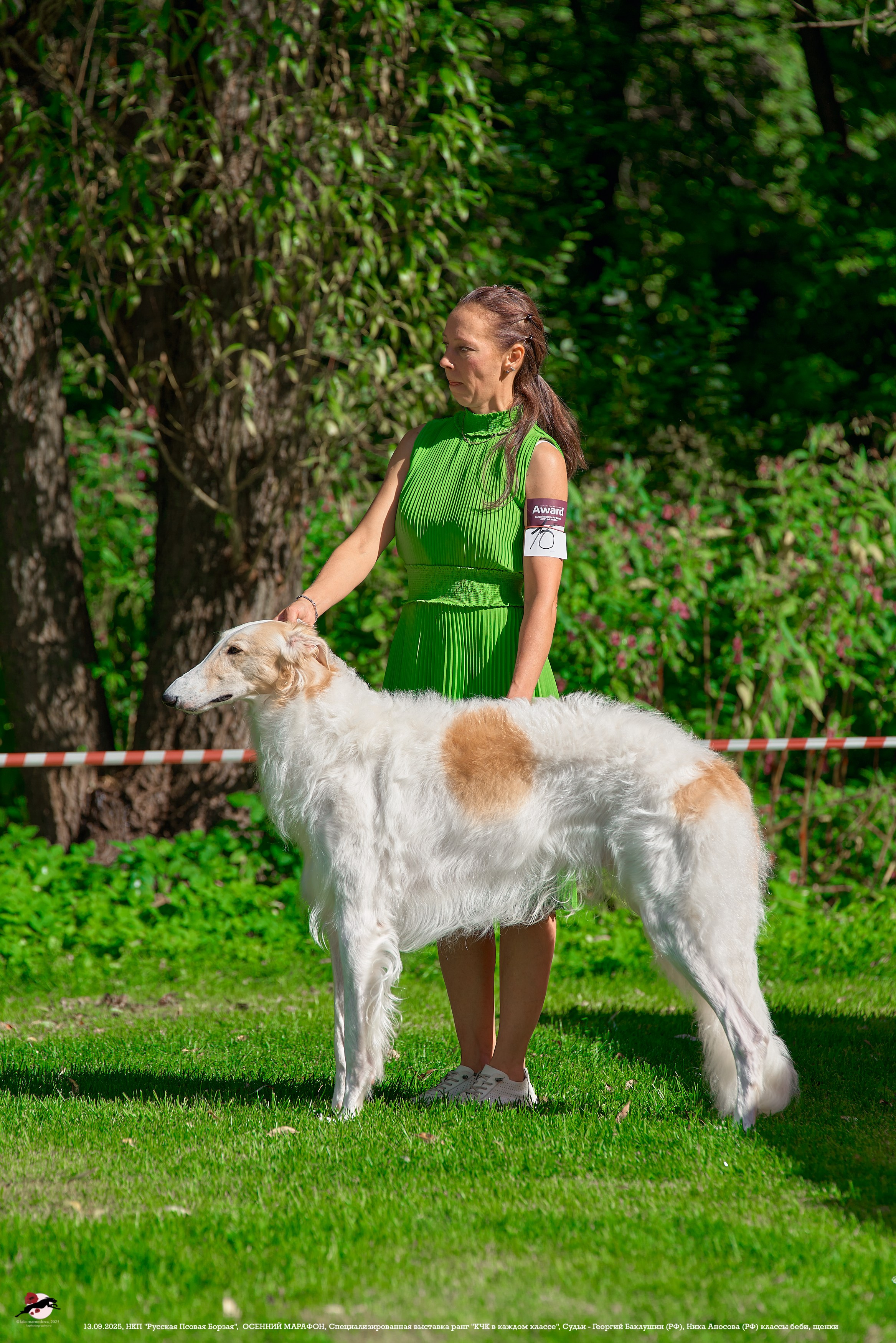 ОСЕННИЙ МАРАФОН | Специализированная выставка породы Русская Псовая Борзая ранг "КЧК в каждом классе"