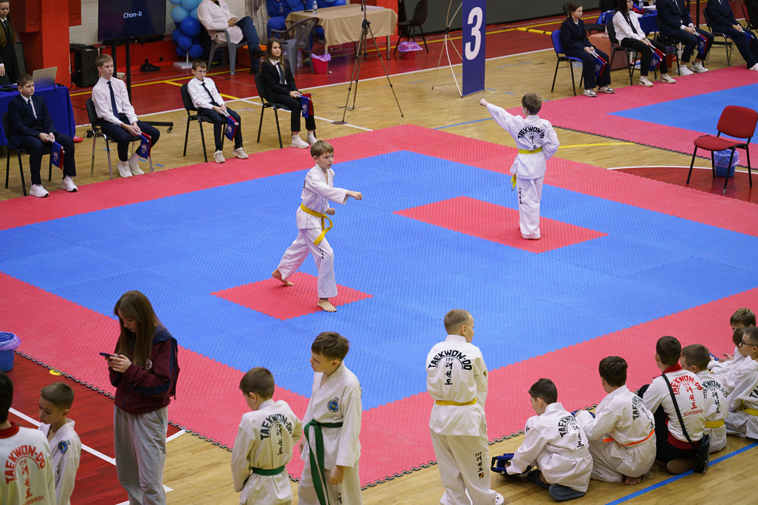 Соревнования Тхэквандо 23.11.2025. Фотограф Наталья Соколовская. Новосибирск