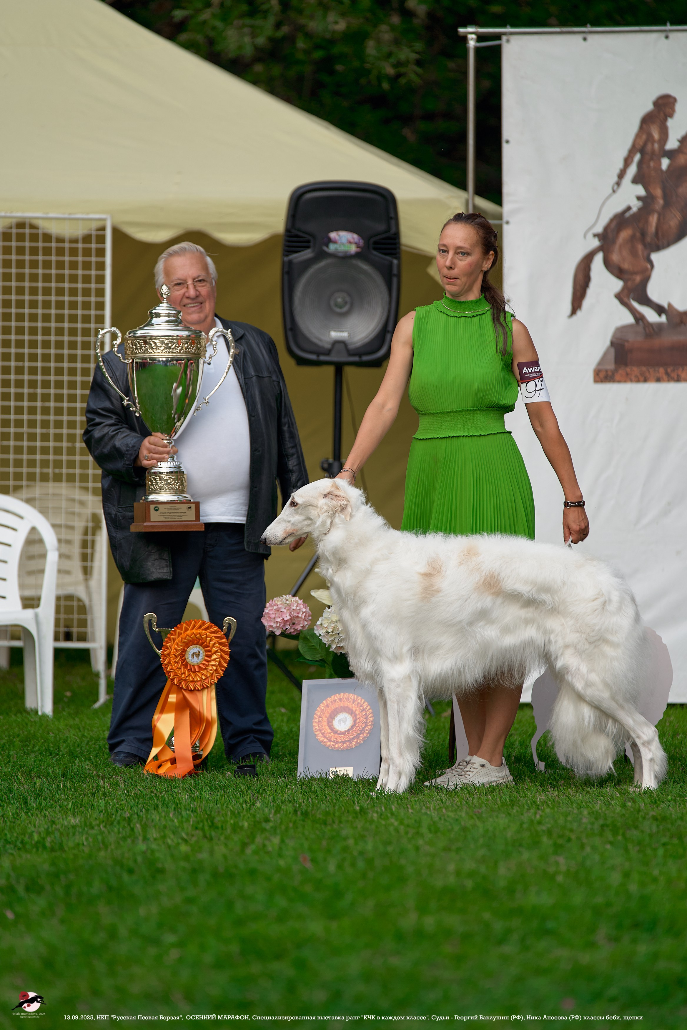 ОСЕННИЙ МАРАФОН | Специализированная выставка породы Русская Псовая Борзая ранг "КЧК в каждом классе"