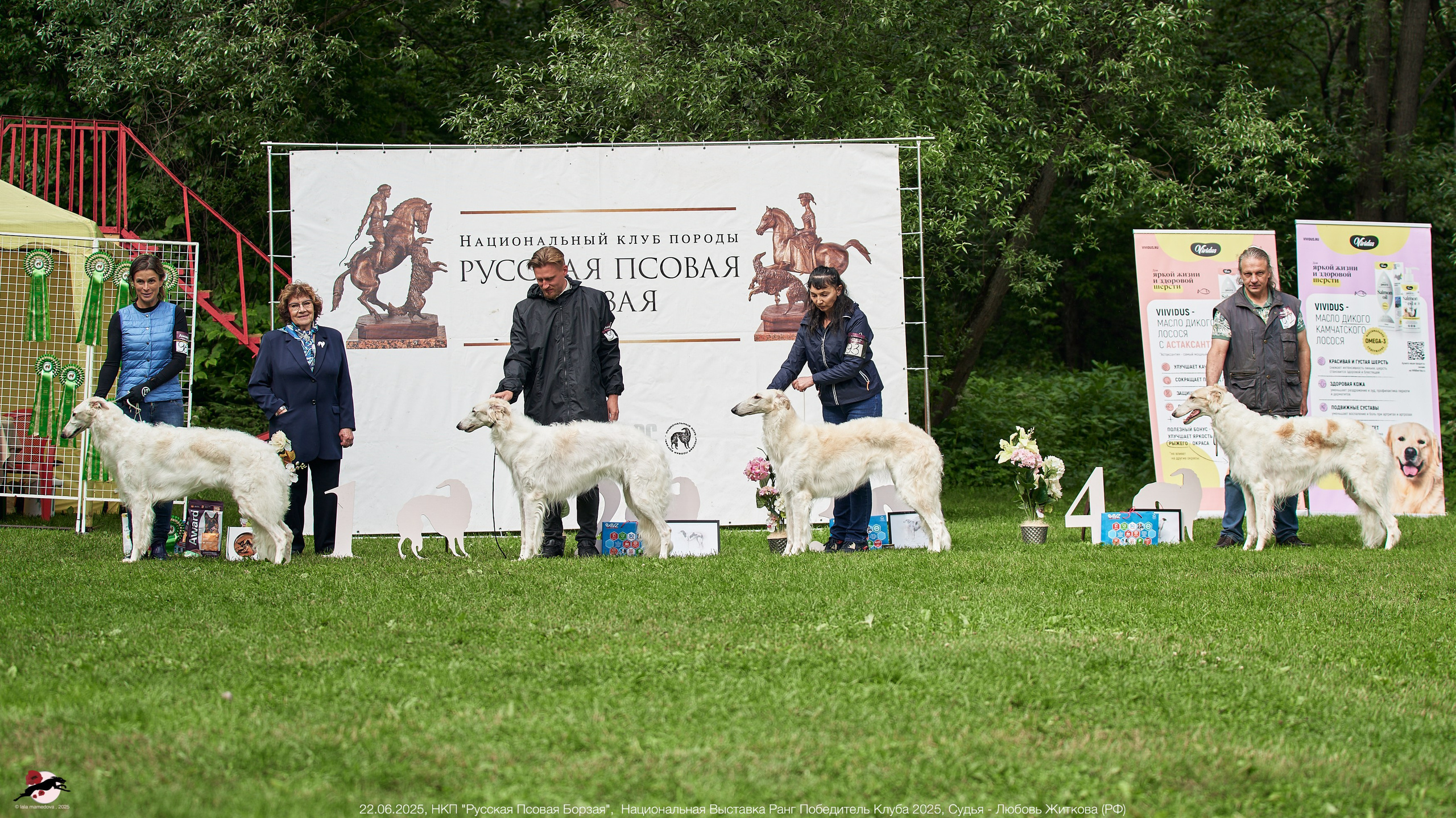 22.06.2025 | Национальная Выставка НКП "Русская Псовая Борзая"