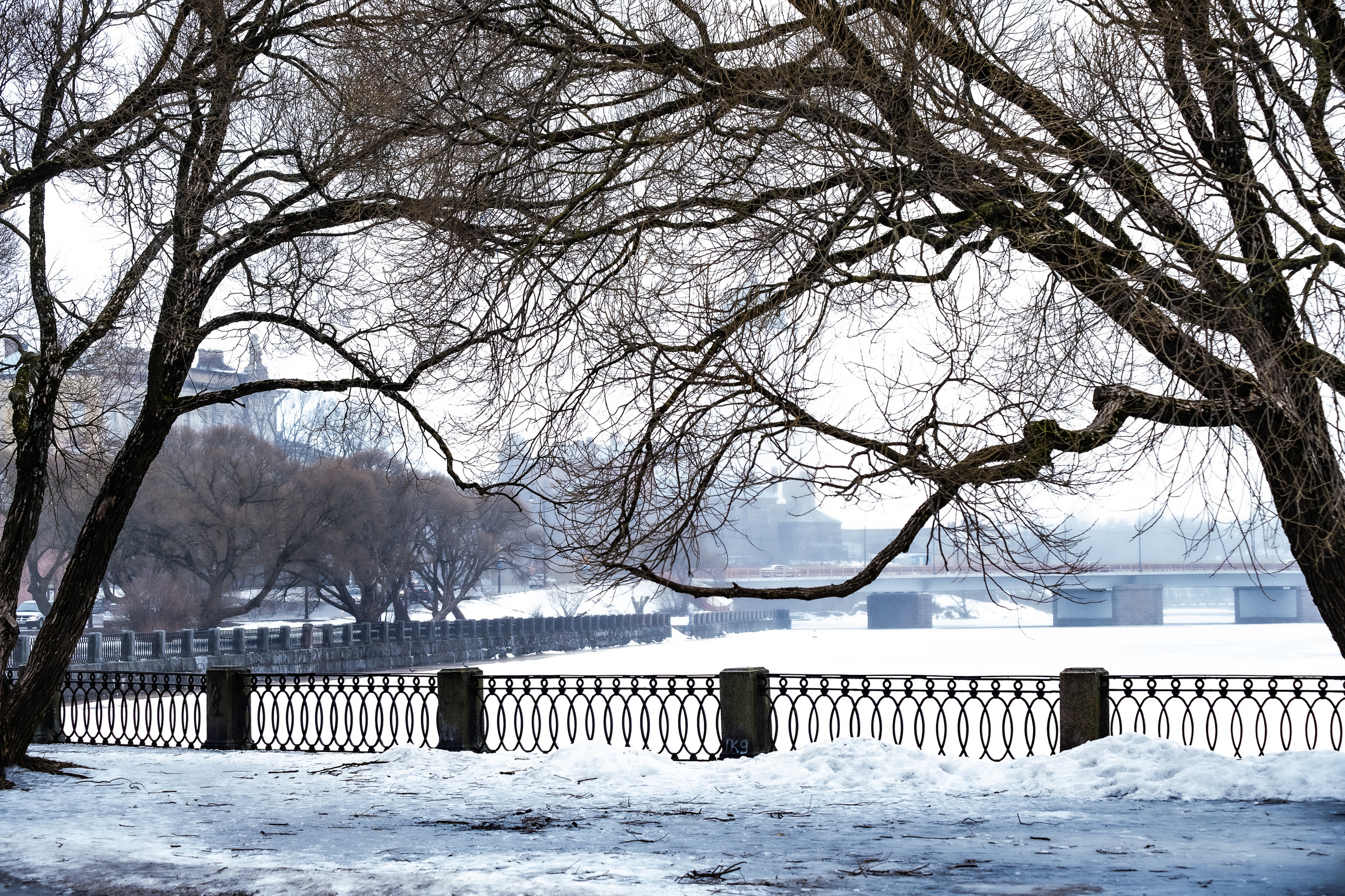 Прогулка по зимней Ленобласти. Фотограф в Москве Ирина Иванова
