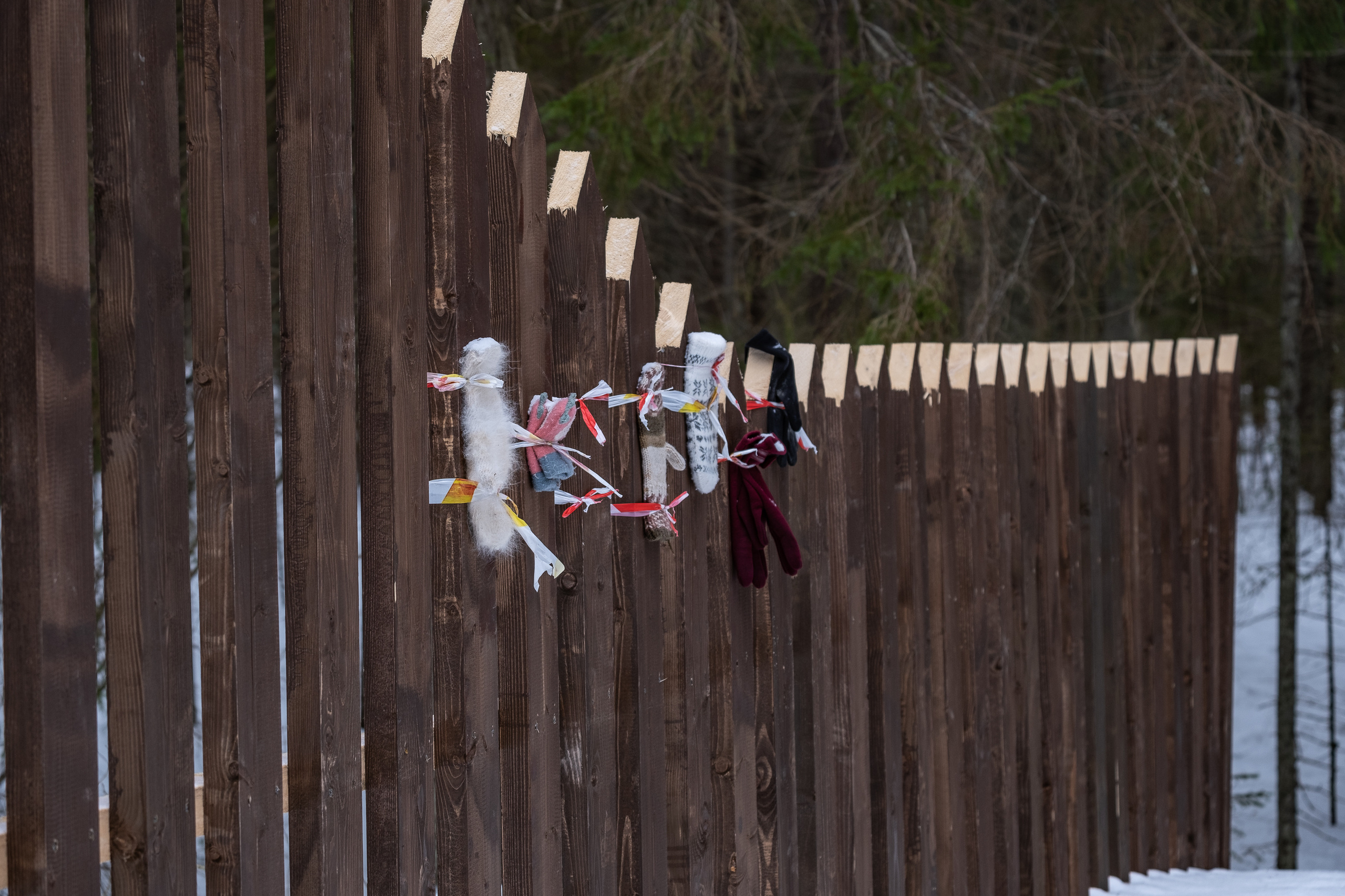 Прогулка по зимней Ленобласти. Фотограф в Москве Ирина Иванова