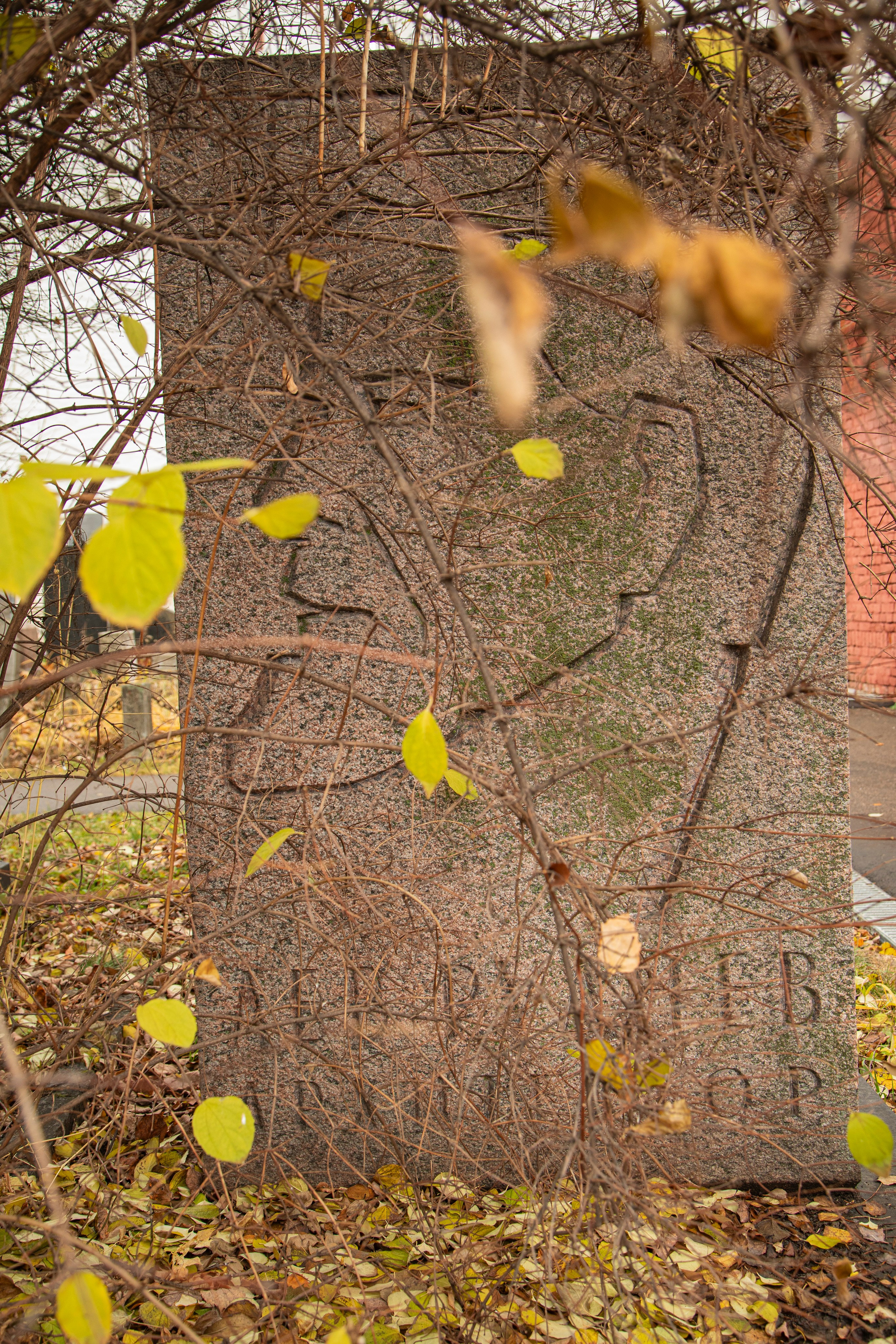 Осенняя прогулка по Новодевичьему кладбищу. Фотограф Сергей Ловкий