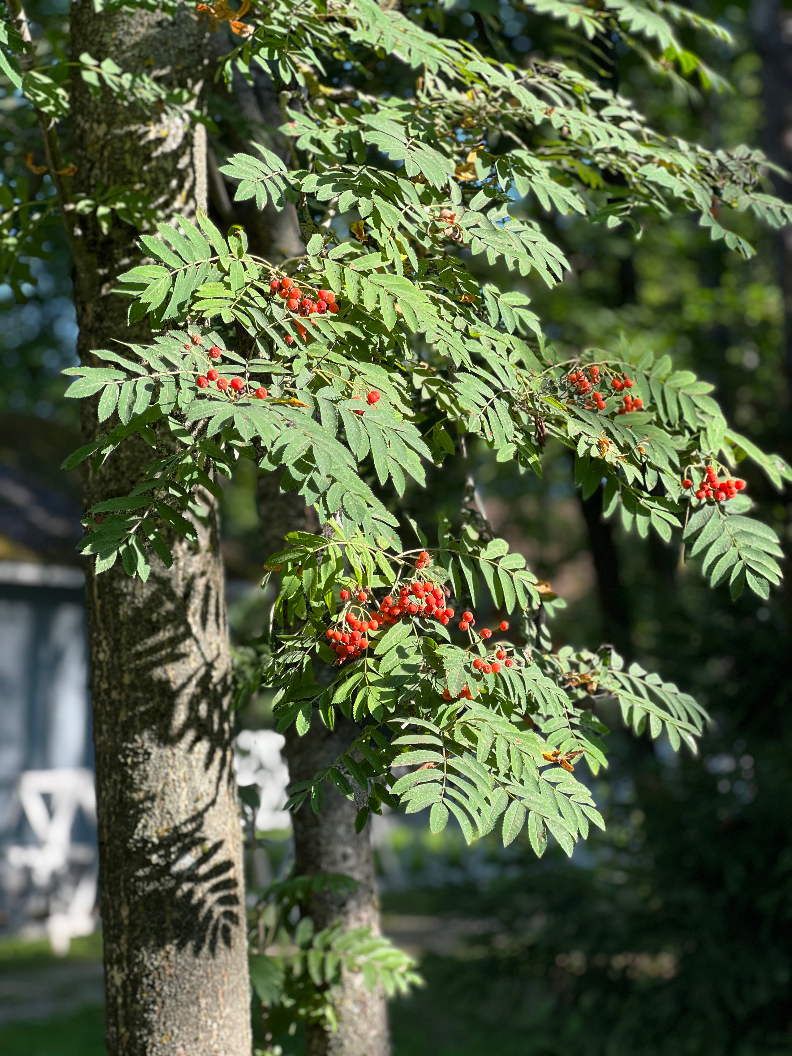 Tantric 2023. Александр Прищепов - фотограф, режиссёр, продюсер