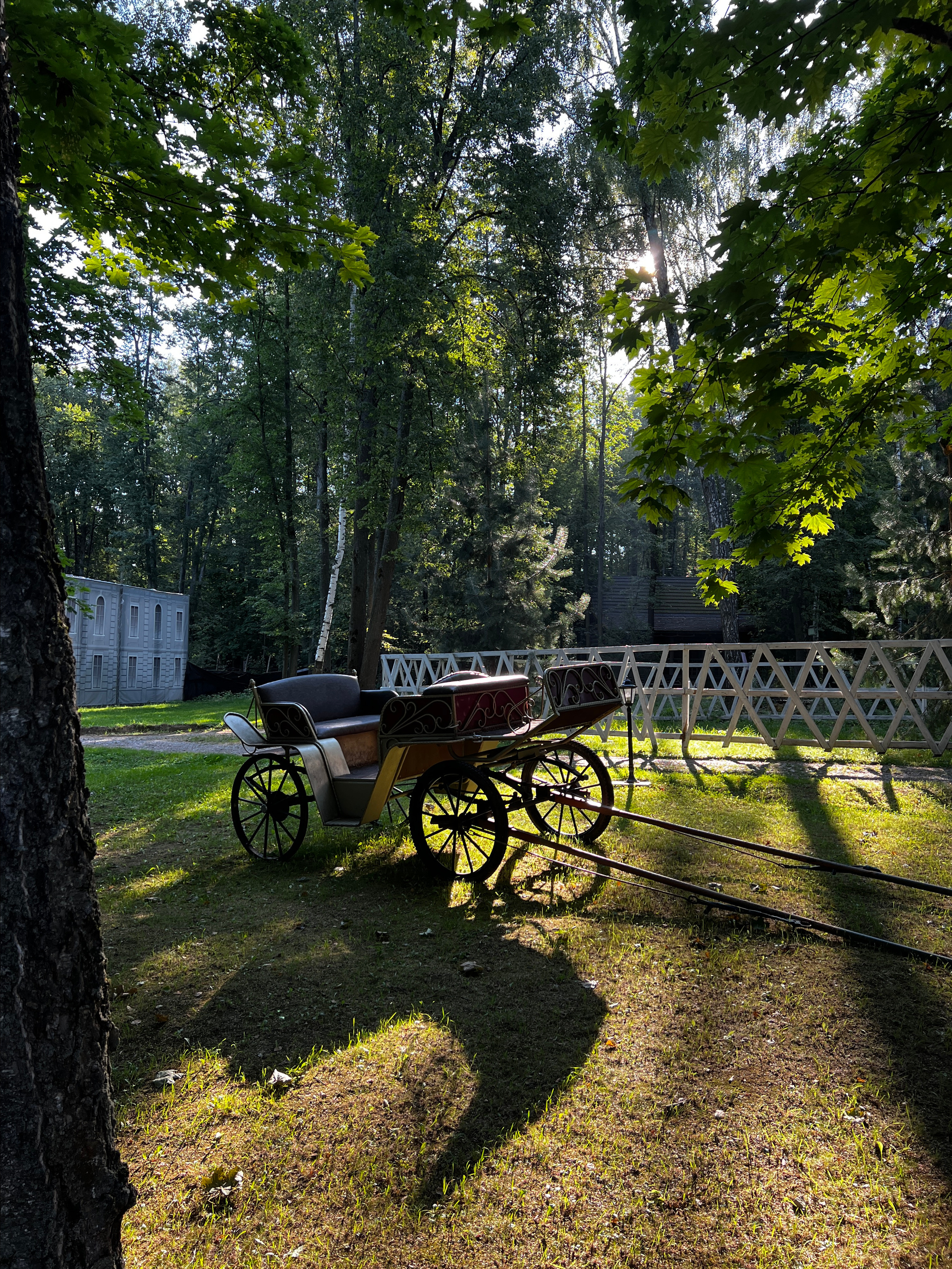 Tantric 2023. Александр Прищепов - фотограф, режиссёр, продюсер